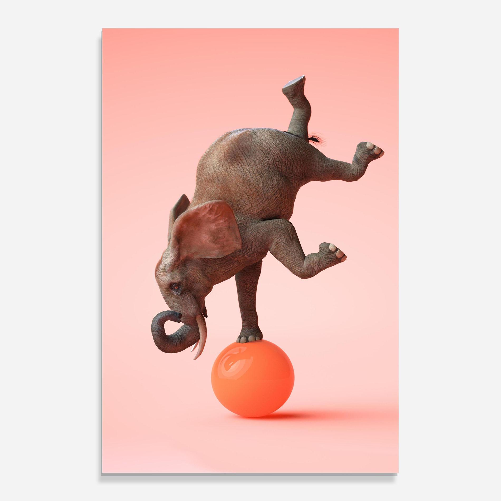 Üvegkép Ball Elephant mockup 0