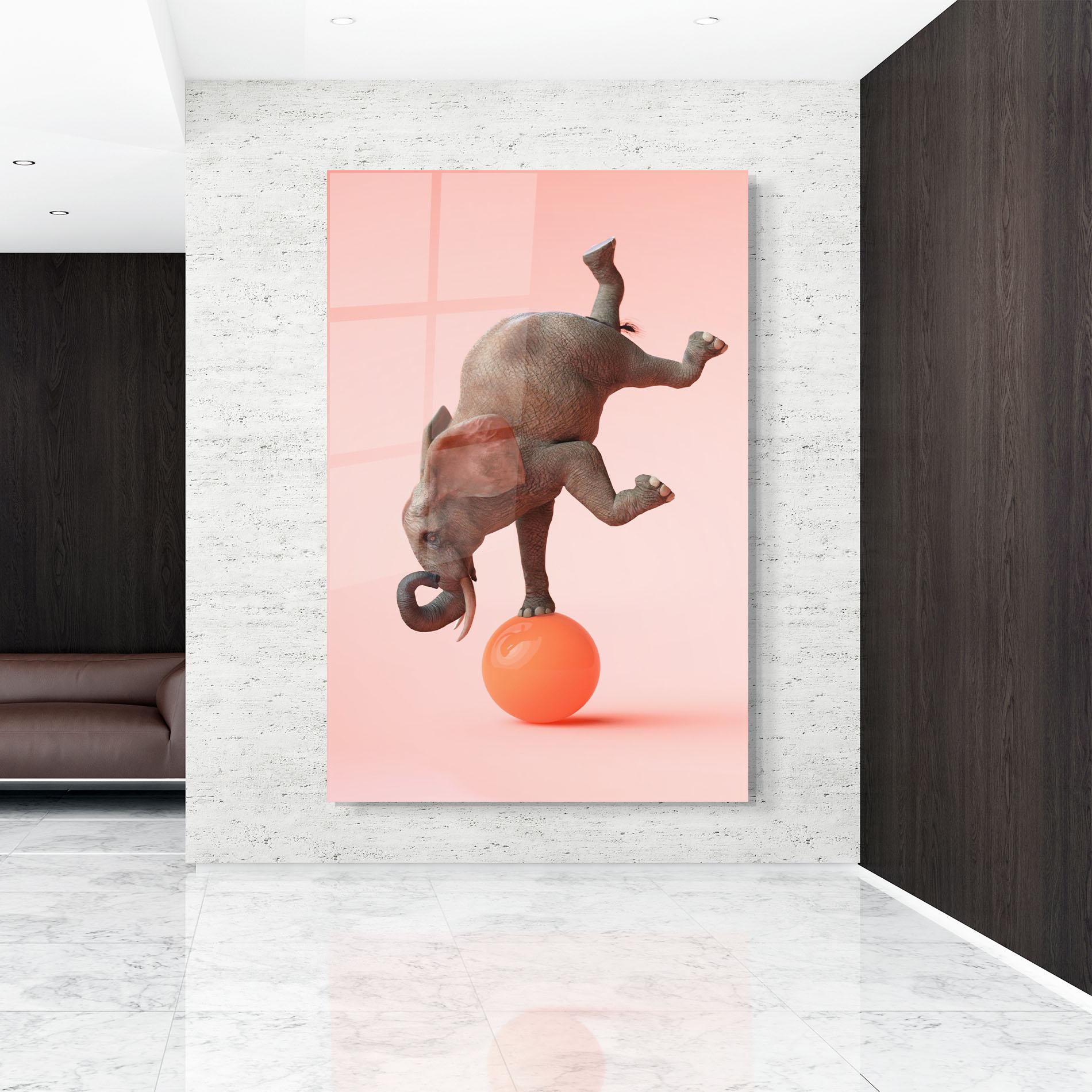 Üvegkép Ball Elephant mockup 9