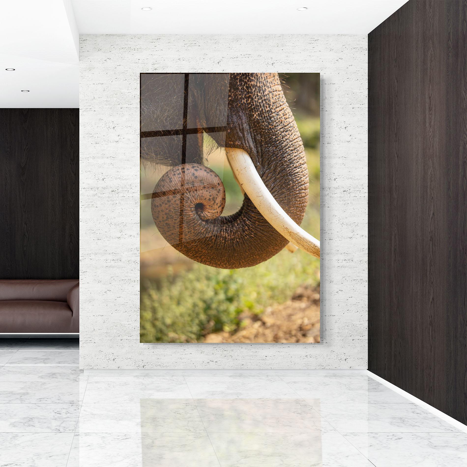 Üvegkép Elephant Mouth Close Up mockup 9