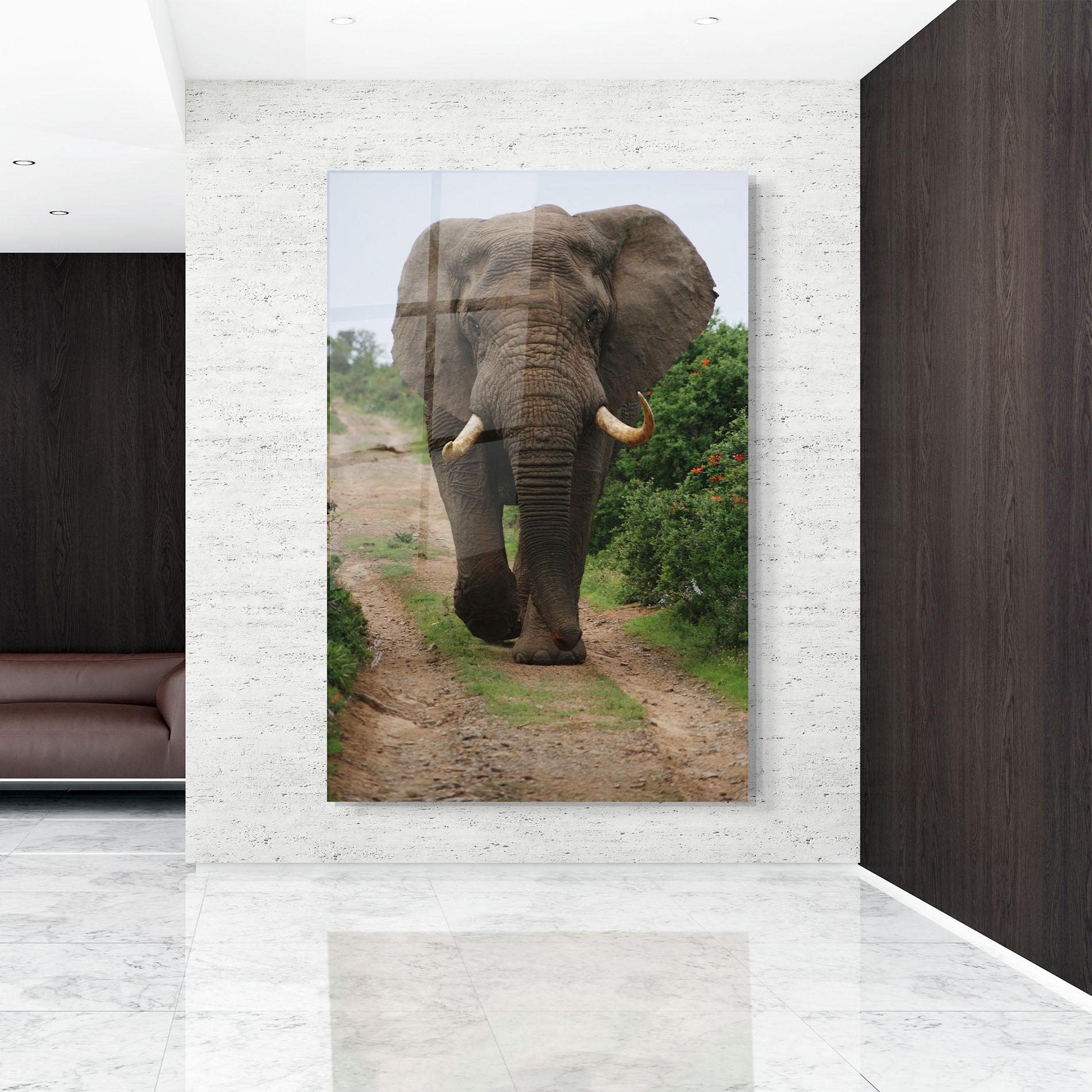 Üvegkép Elephant Safari mockup 9