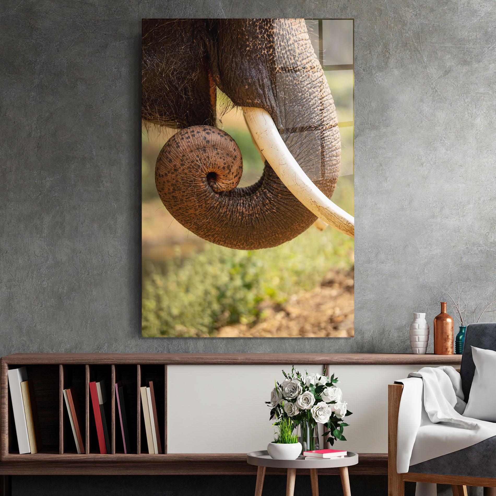 Üvegkép Elephant Mouth Close Up mockup 2