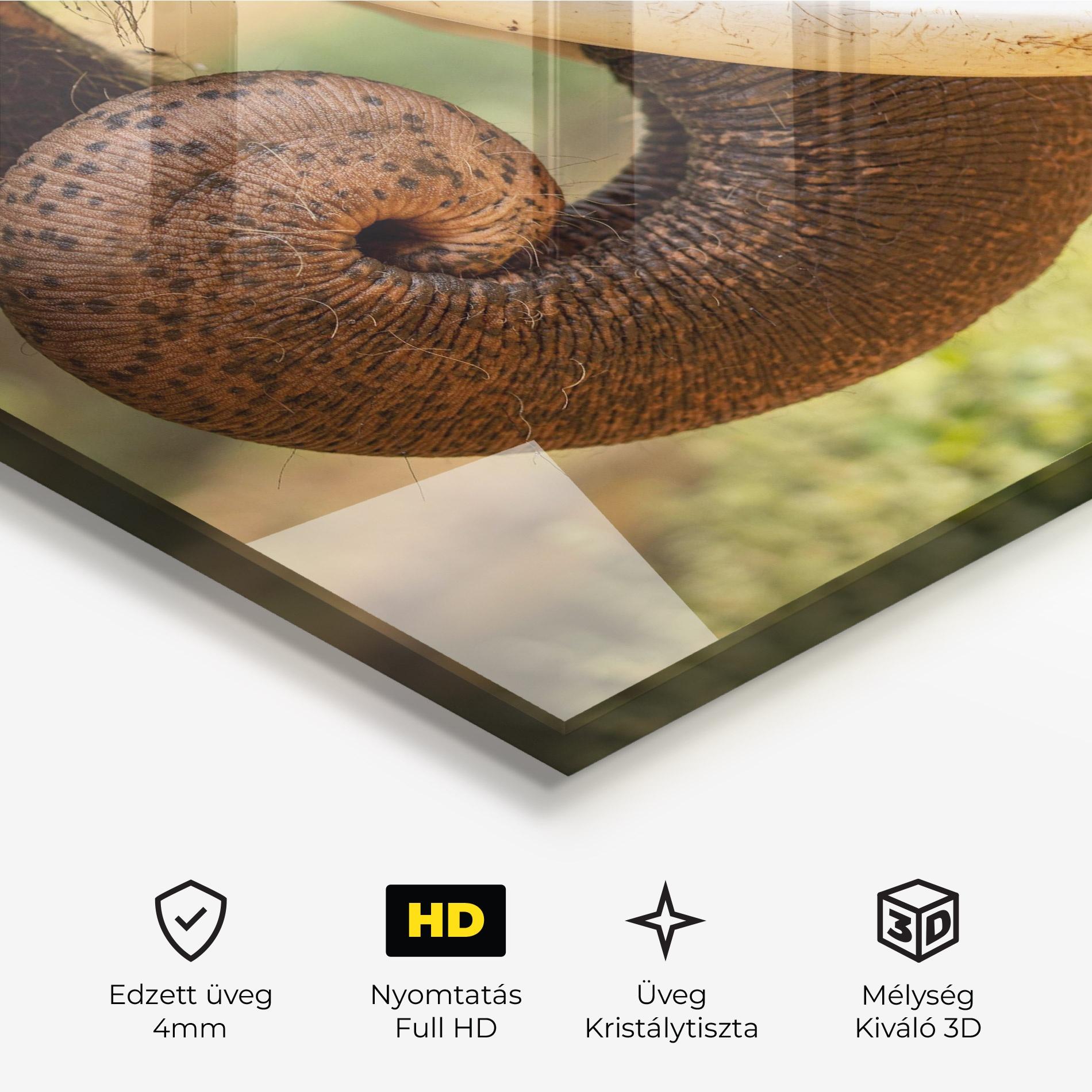 Üvegkép Elephant Mouth Close Up mockup 3