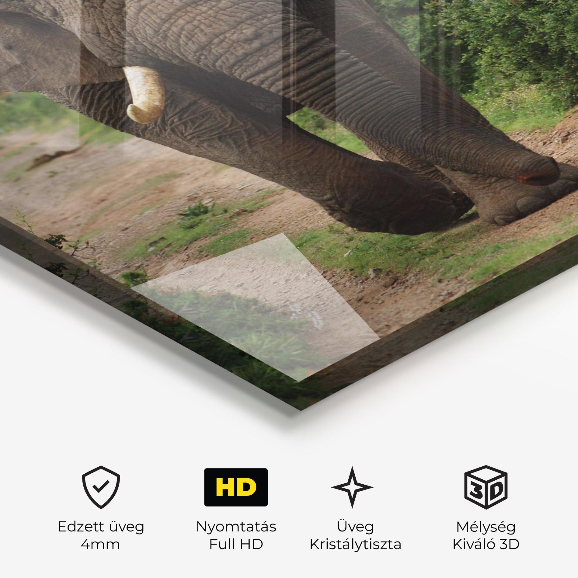 Üvegkép Elephant Safari mockup 3