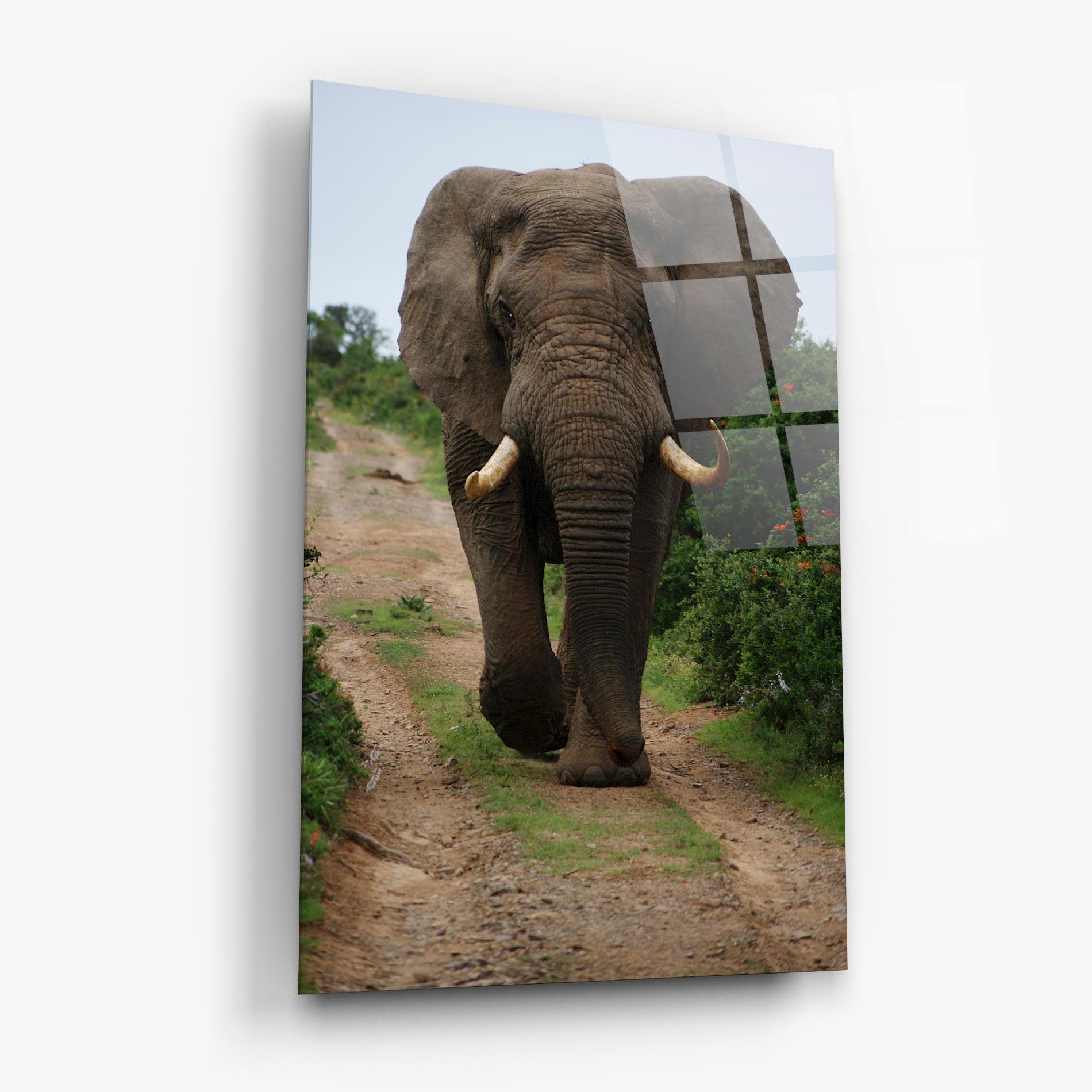 Üvegkép Elephant Safari mockup 6