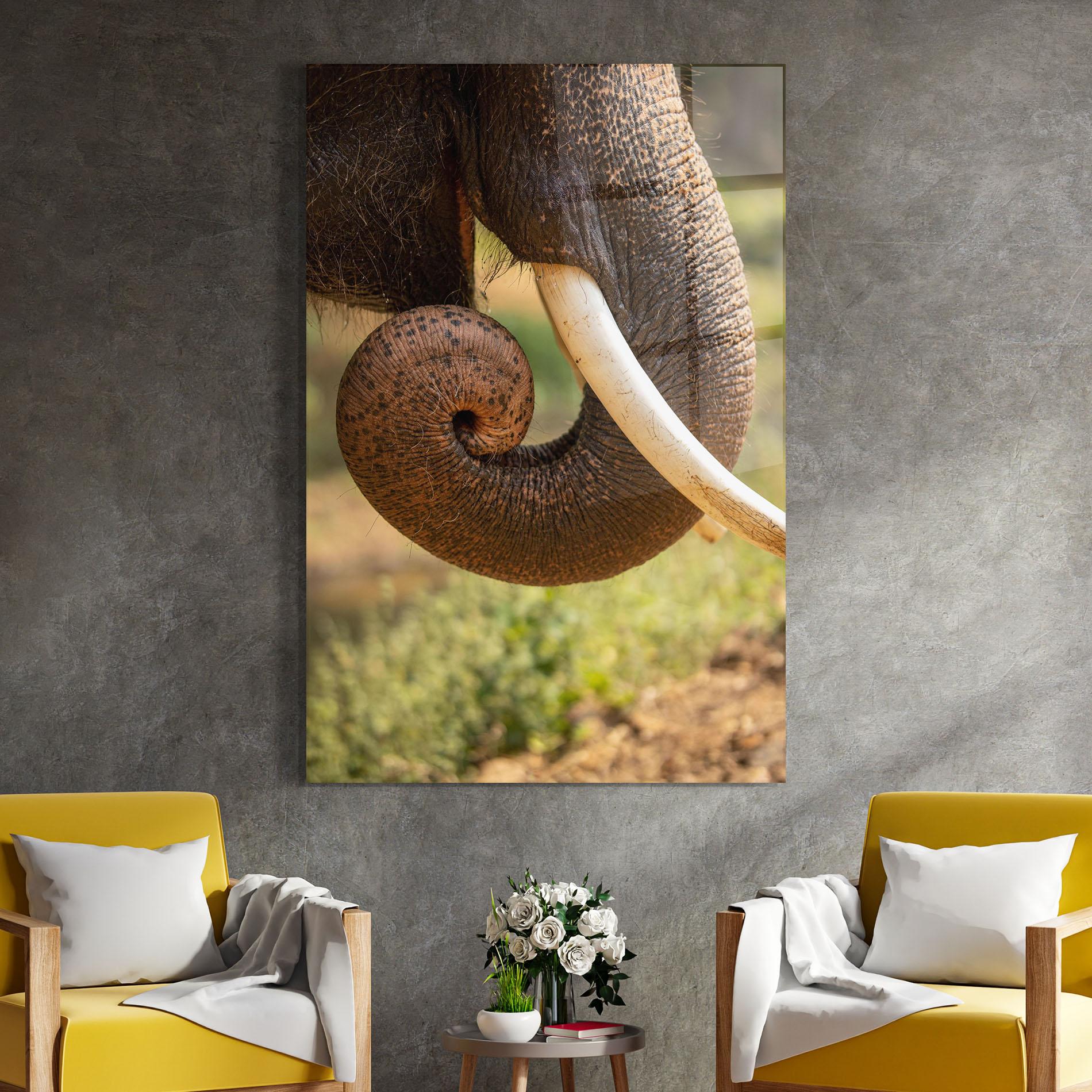 Üvegkép Elephant Mouth Close Up mockup 4