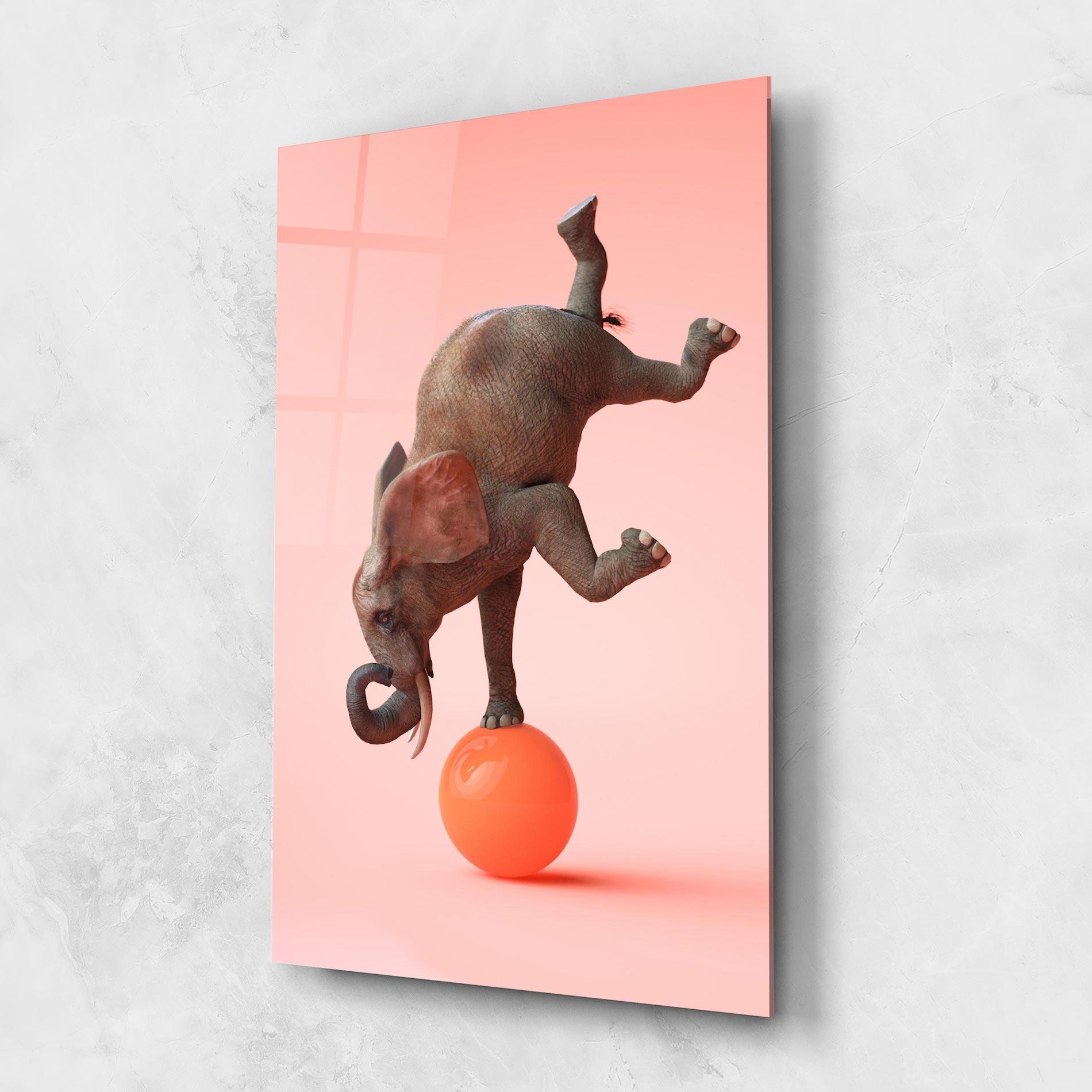 Üvegkép Ball Elephant mockup 1