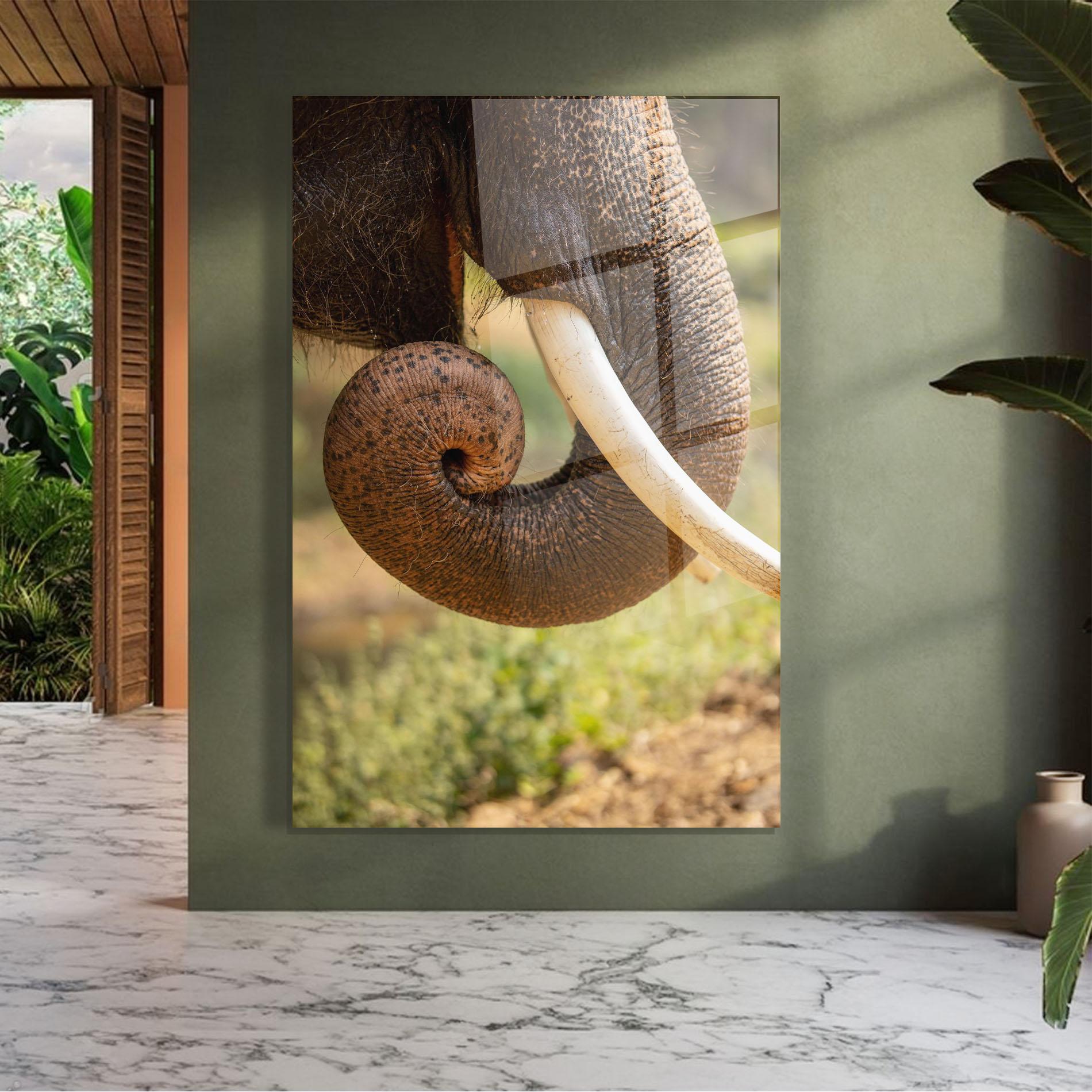 Üvegkép Elephant Mouth Close Up mockup 7