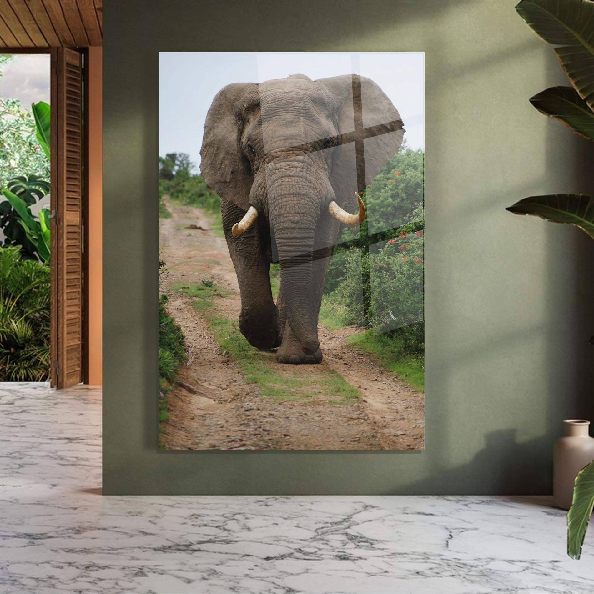Üvegkép Elephant Safari mockup 7