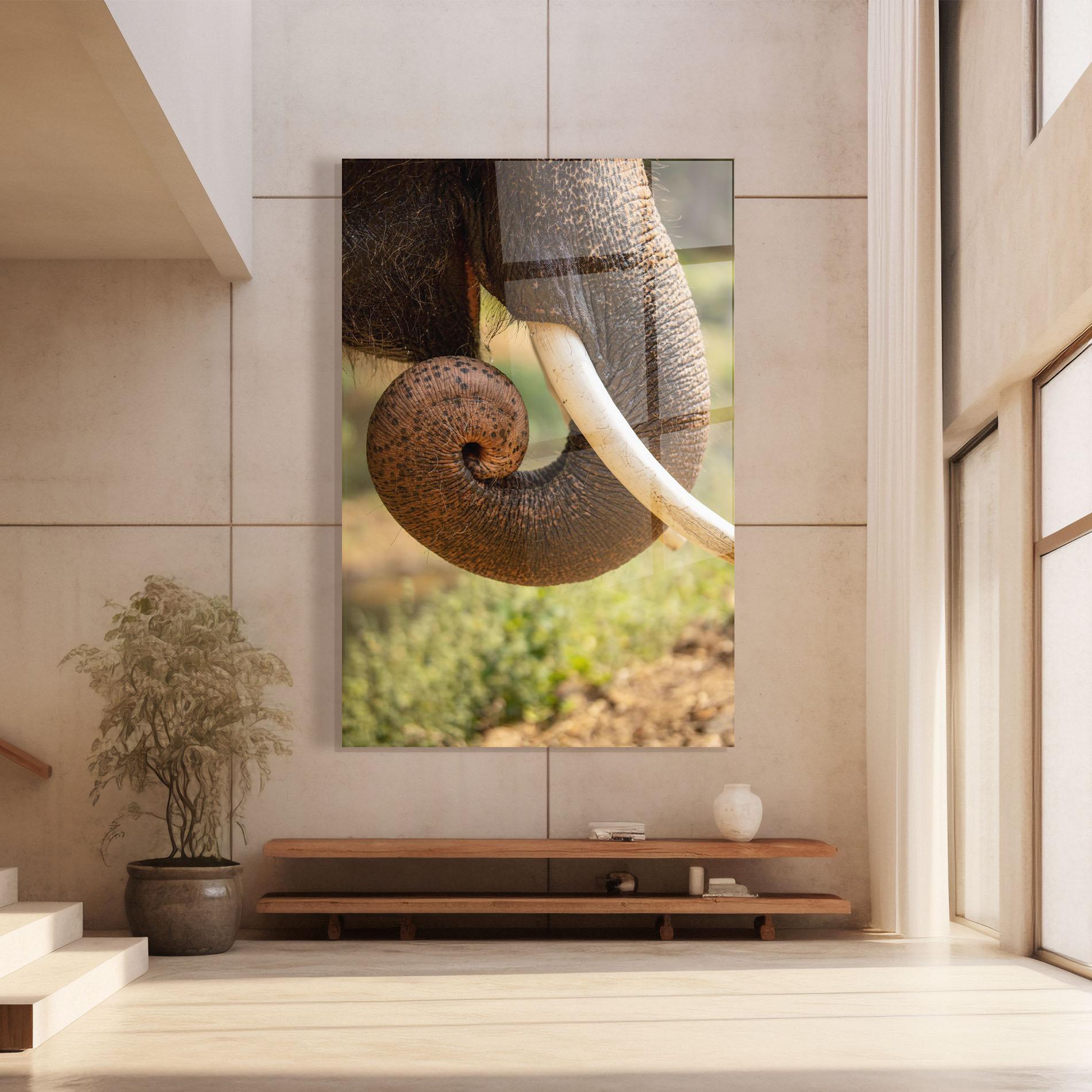 Üvegkép Elephant Mouth Close Up mockup 8