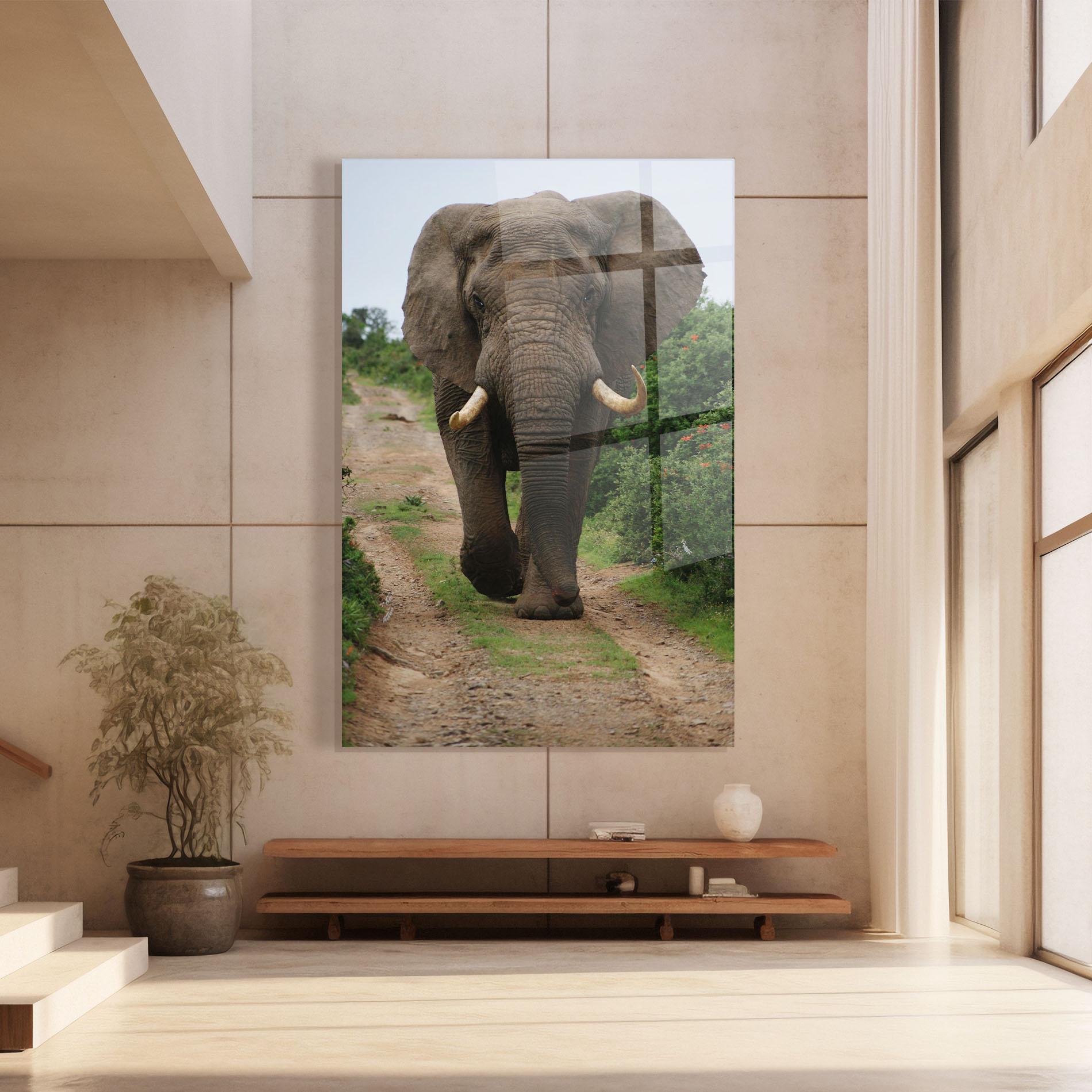 Üvegkép Elephant Safari mockup 8