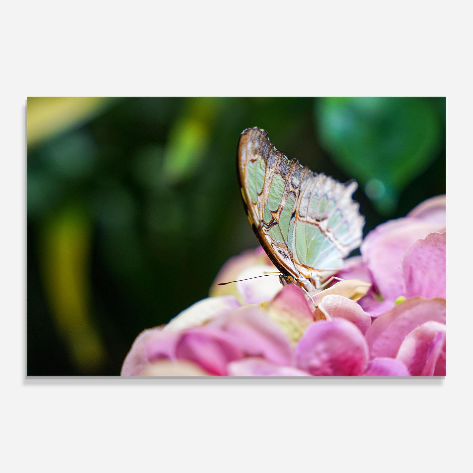 Üvegkép Nazrin Babashova Diuumqmfwys Unsplash mockup 0