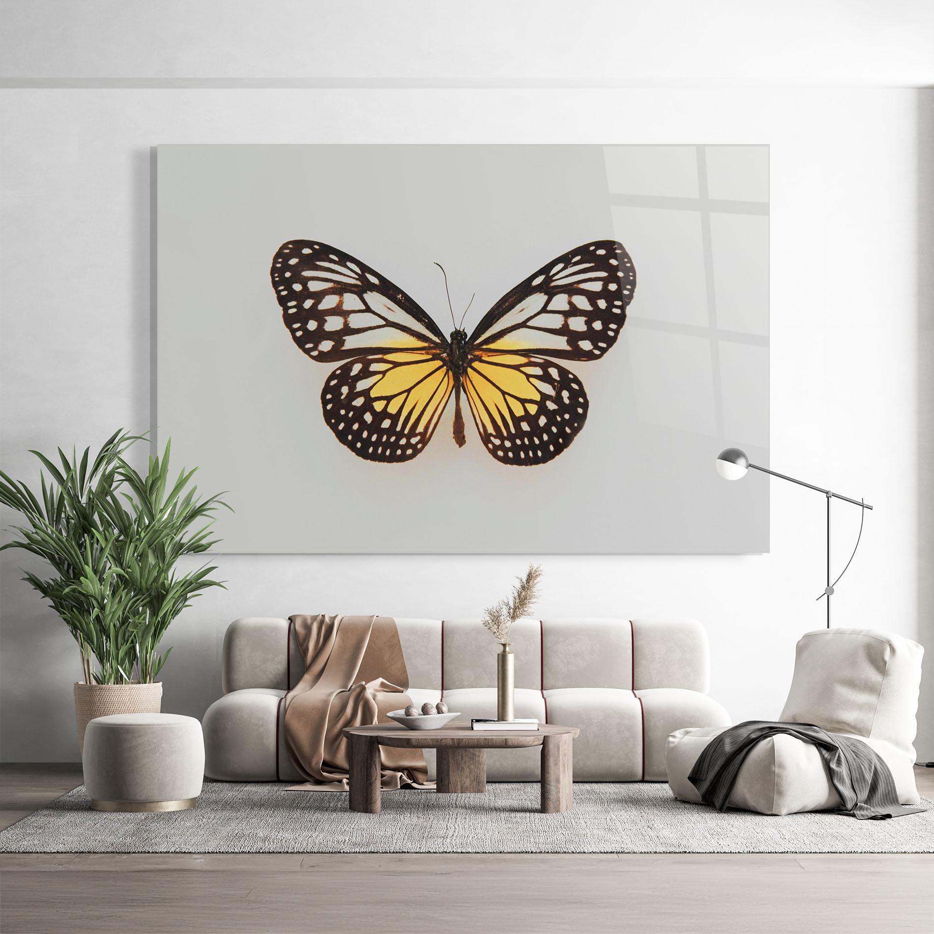 Üvegkép Butterfly On Grey mockup 9