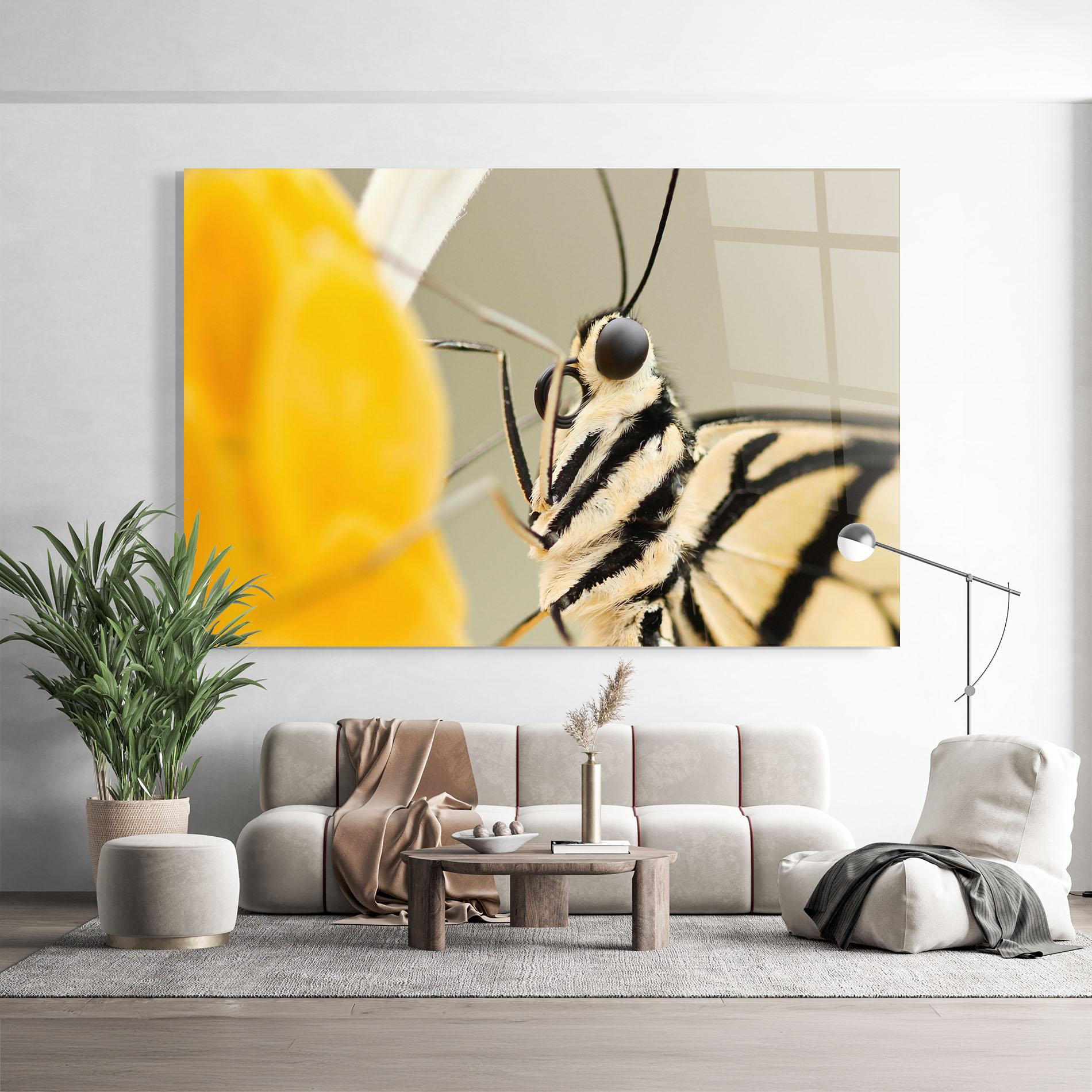 Üvegkép Close Up Cream Butterfly mockup 9