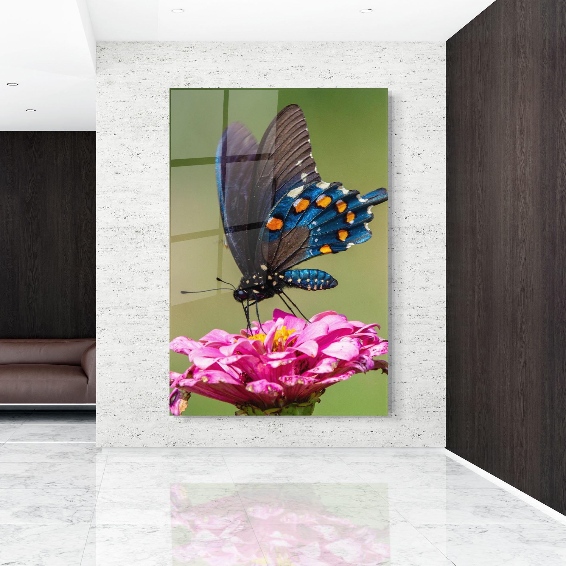 Üvegkép Blue Grey Butterfly mockup 9