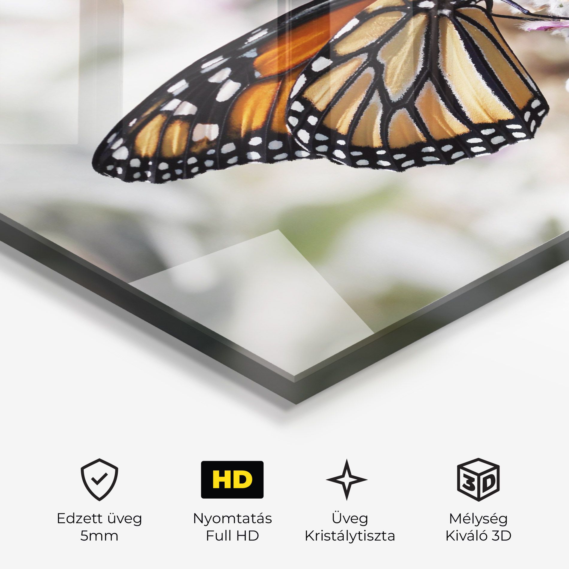 Beauty Butterfly mockup 3