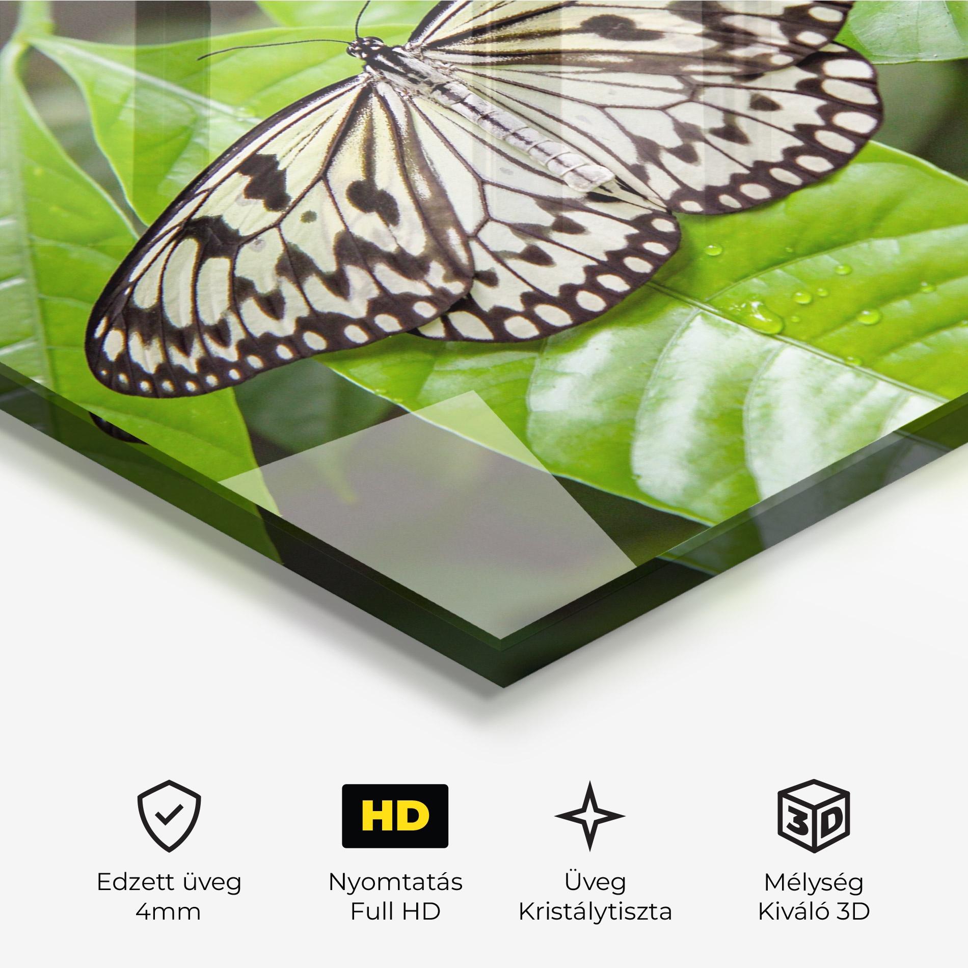 Üvegkép Beautiful White Butterfly mockup 3