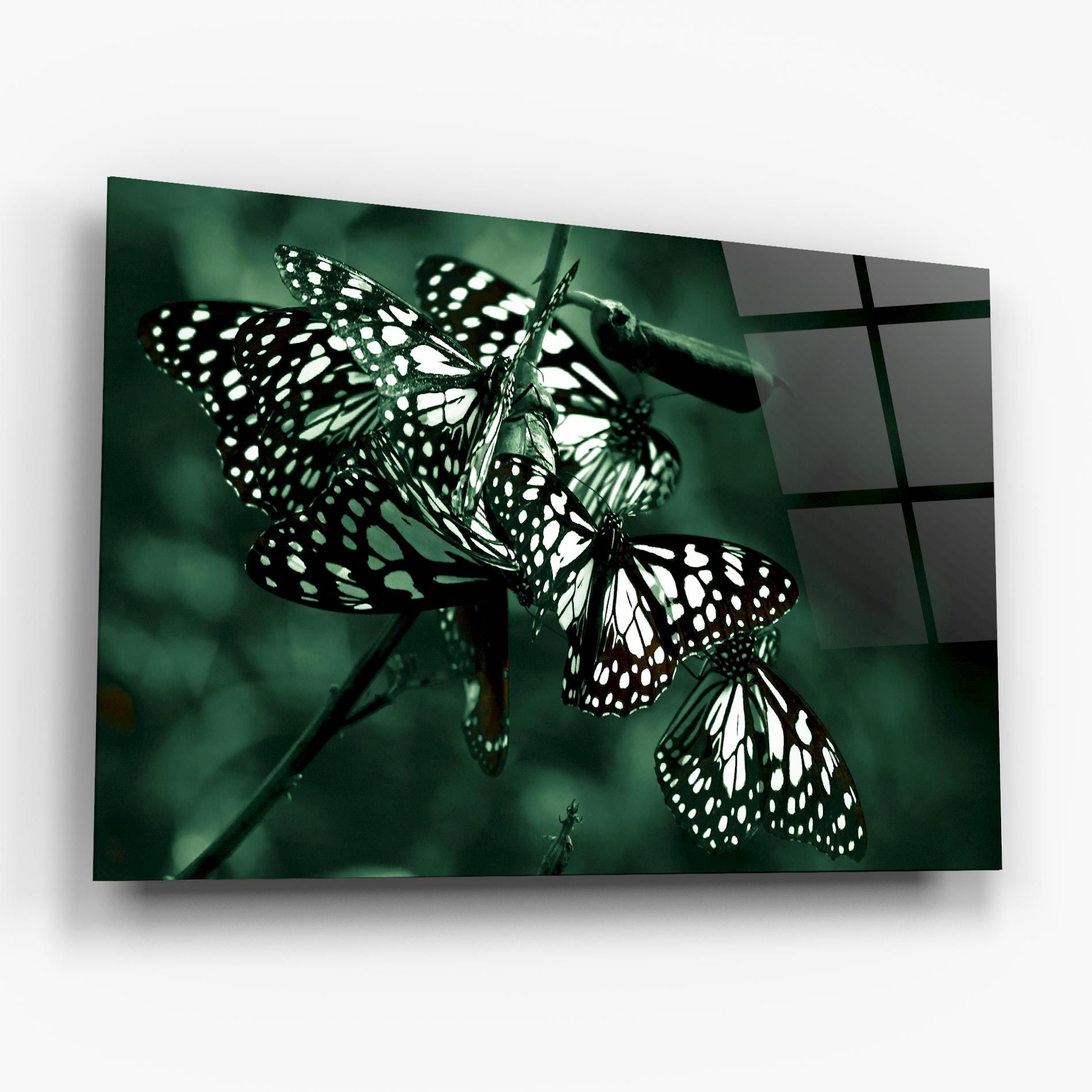 Black White Butterflies mockup 6