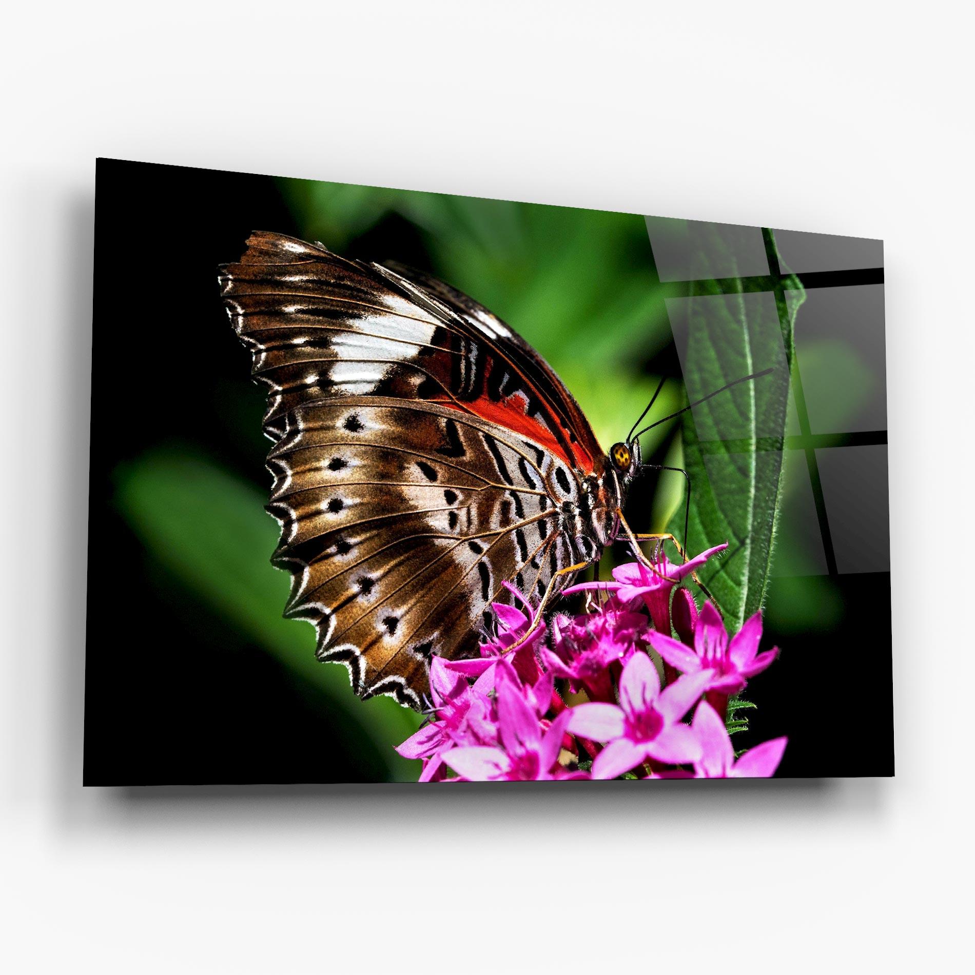 Üvegkép Brown Red Butterfly mockup 6
