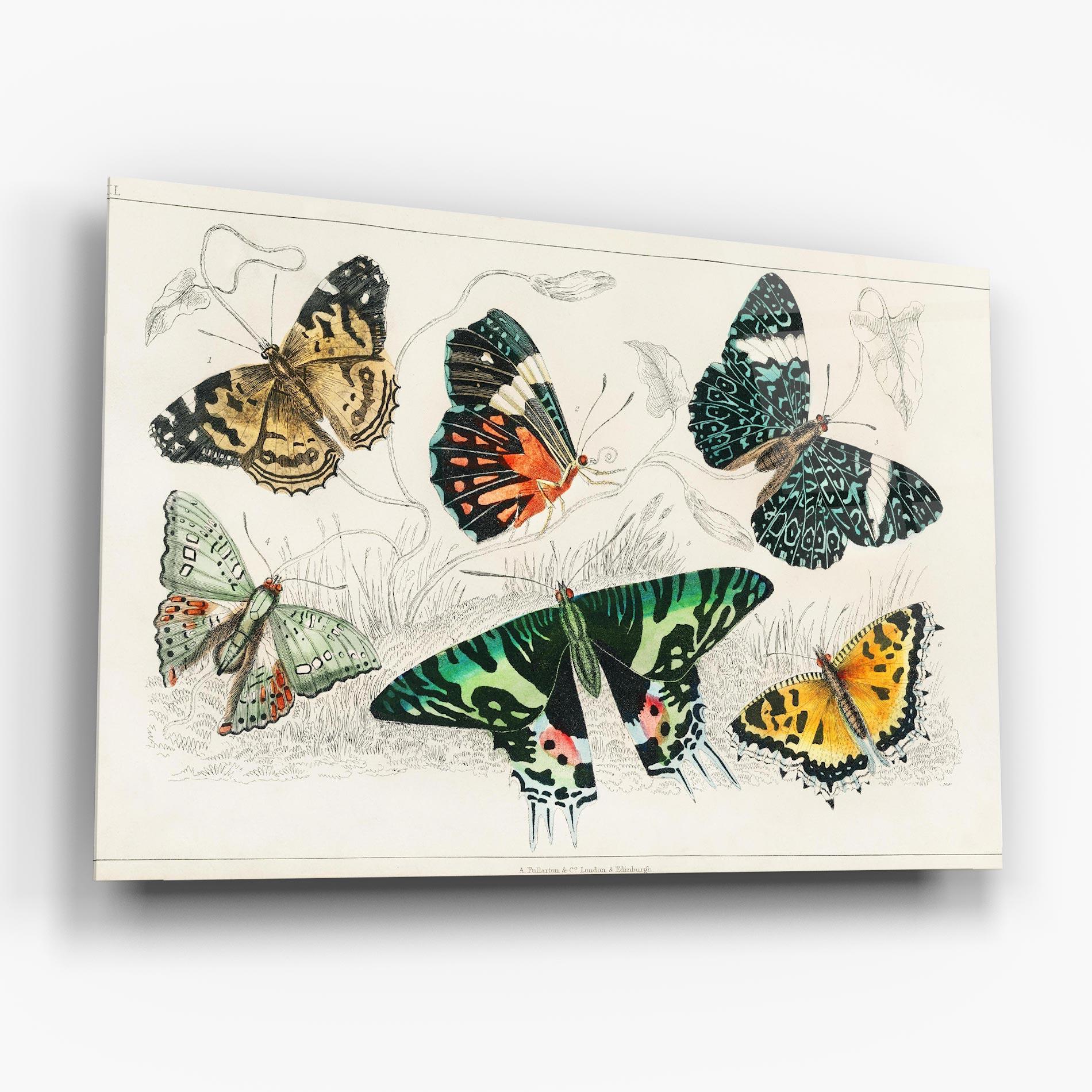 Üvegkép Butterfly Art mockup 6