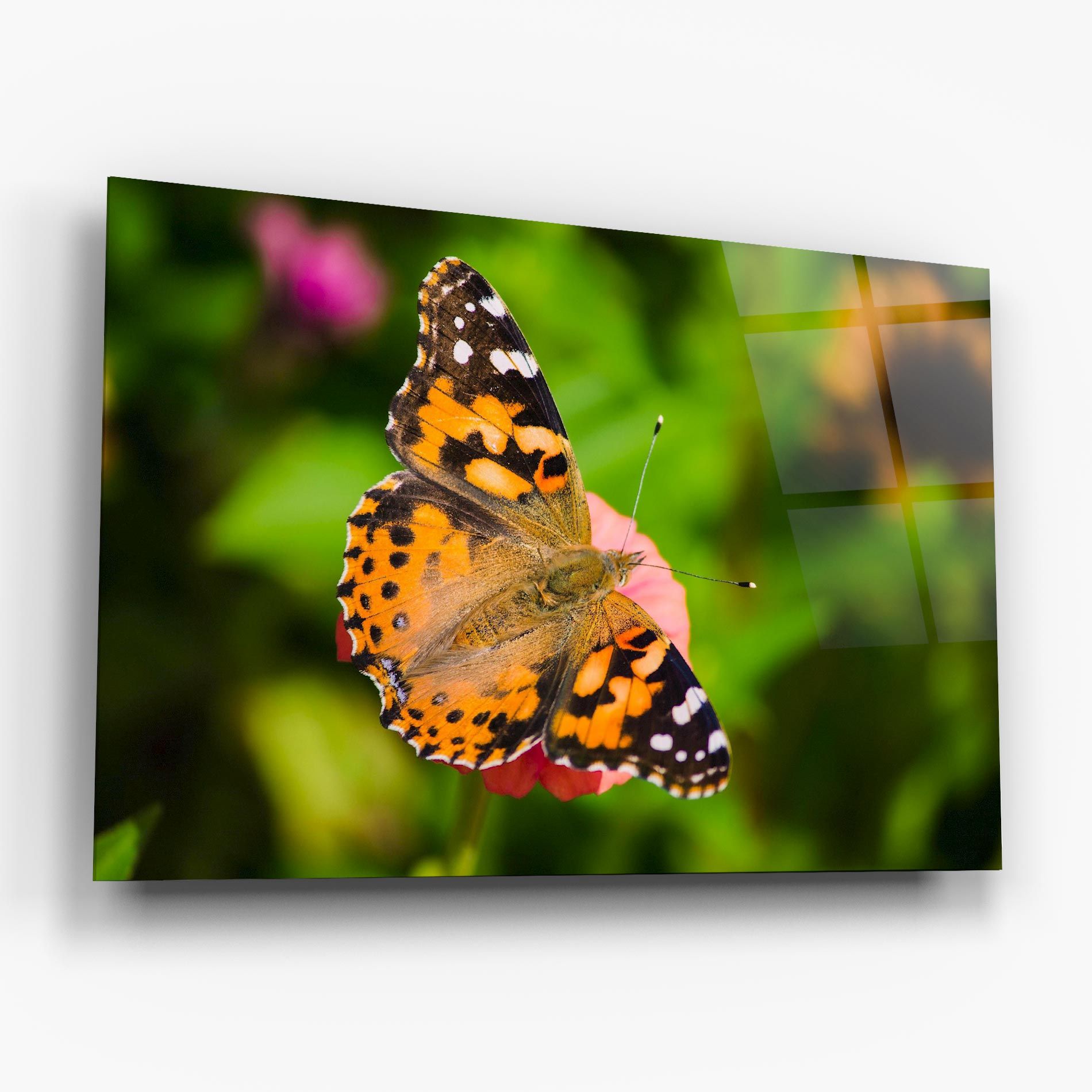 Butterfly On Flower mockup 6