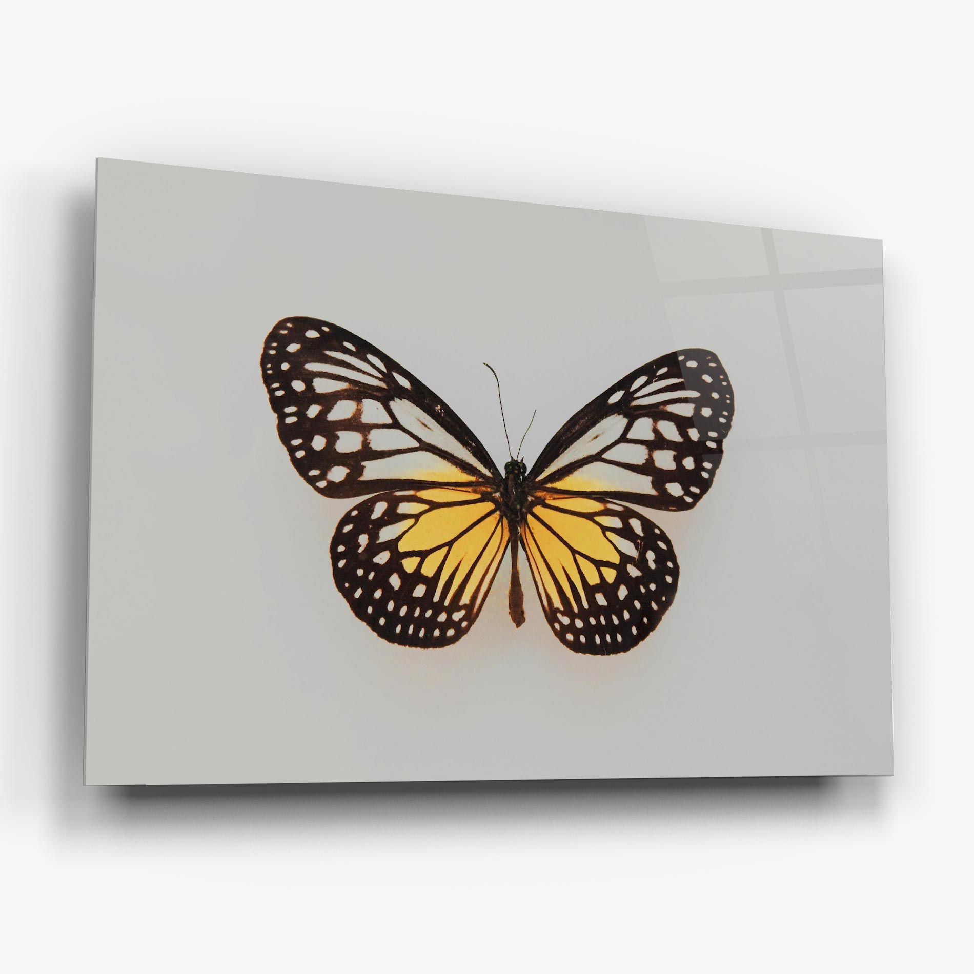 Butterfly On Grey mockup 6