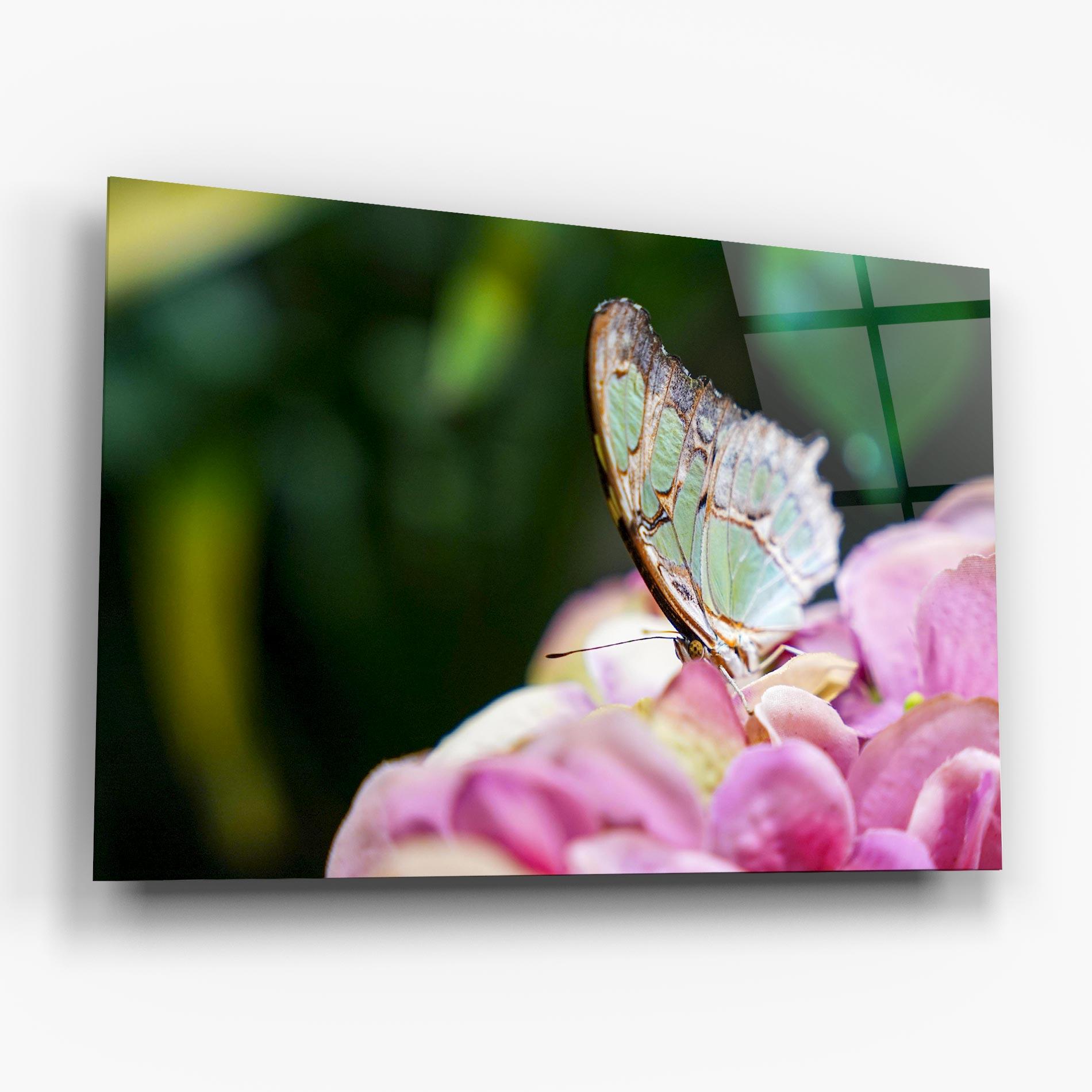 Üvegkép Nazrin Babashova Diuumqmfwys Unsplash mockup 6