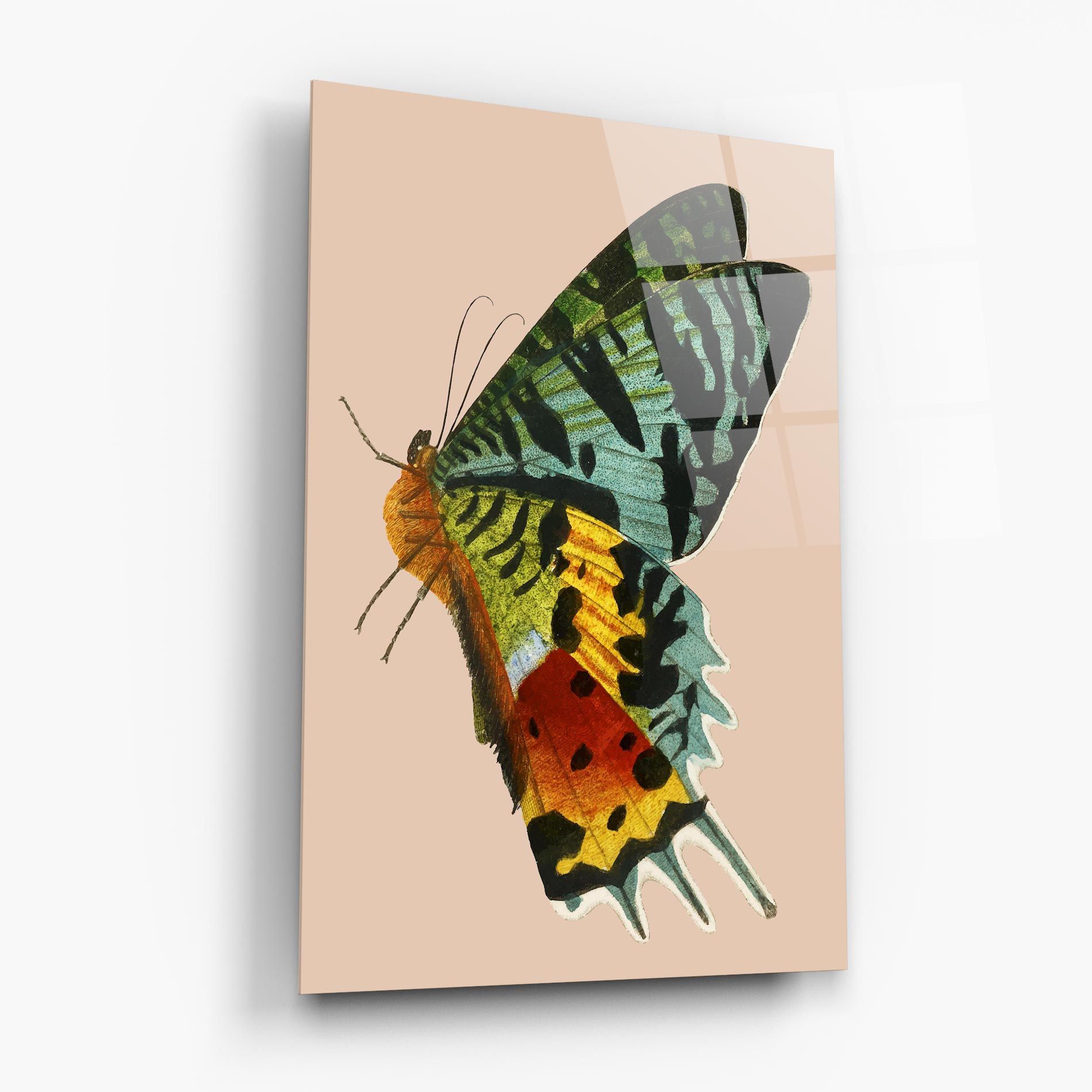 Butterfly On Pink mockup 6