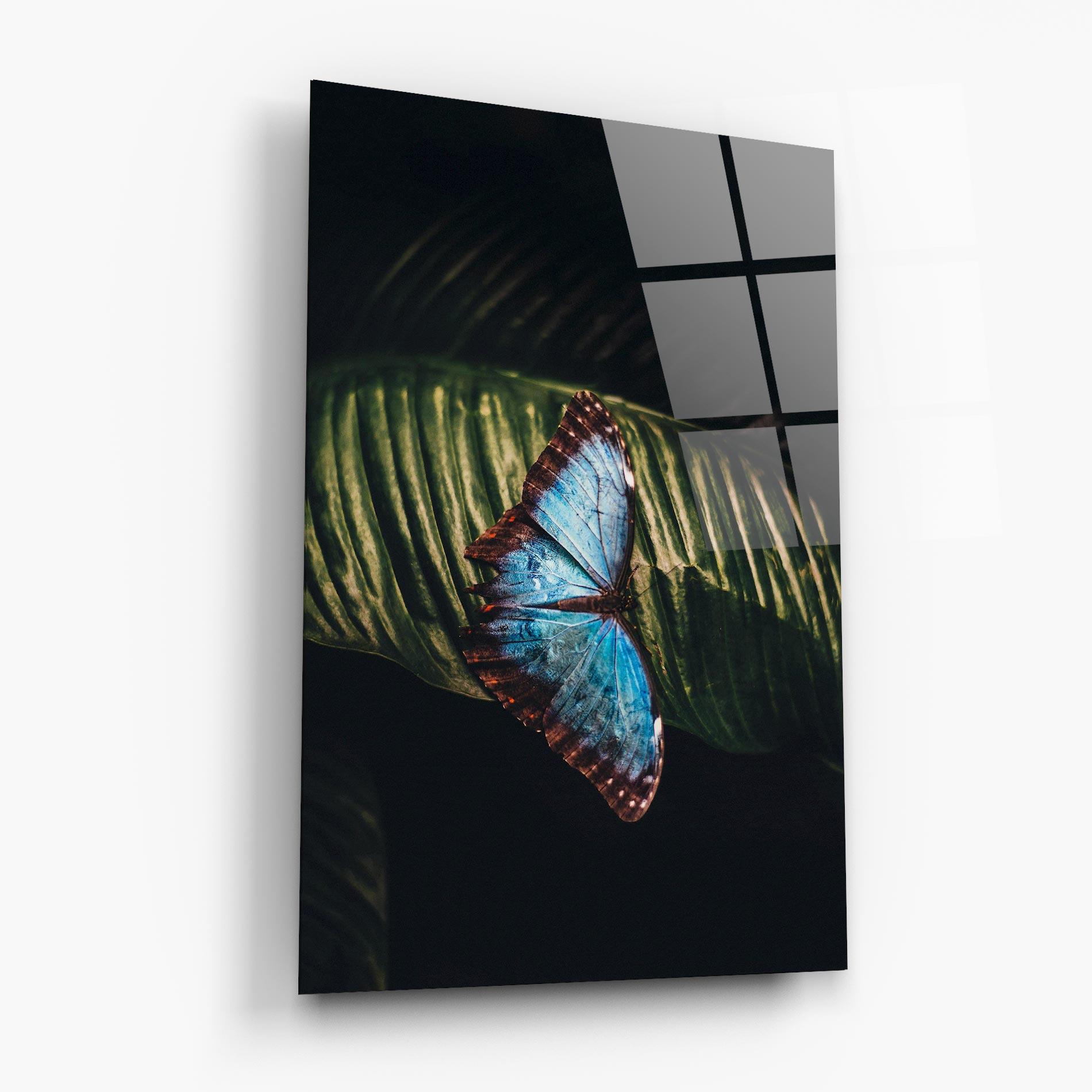 Üvegkép Light Blue Butterfly mockup 6