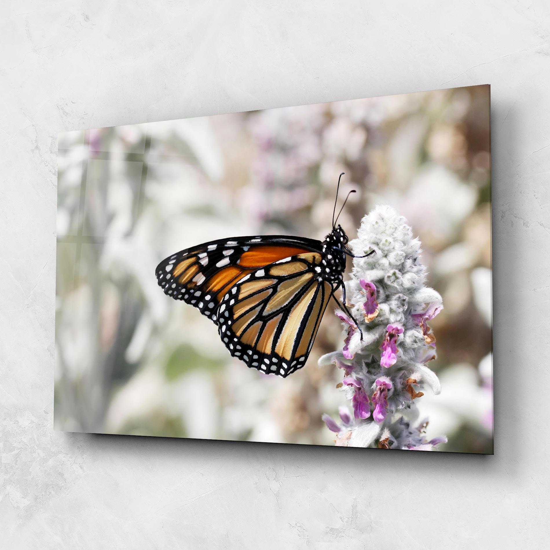 Üvegkép Beauty Butterfly mockup 1