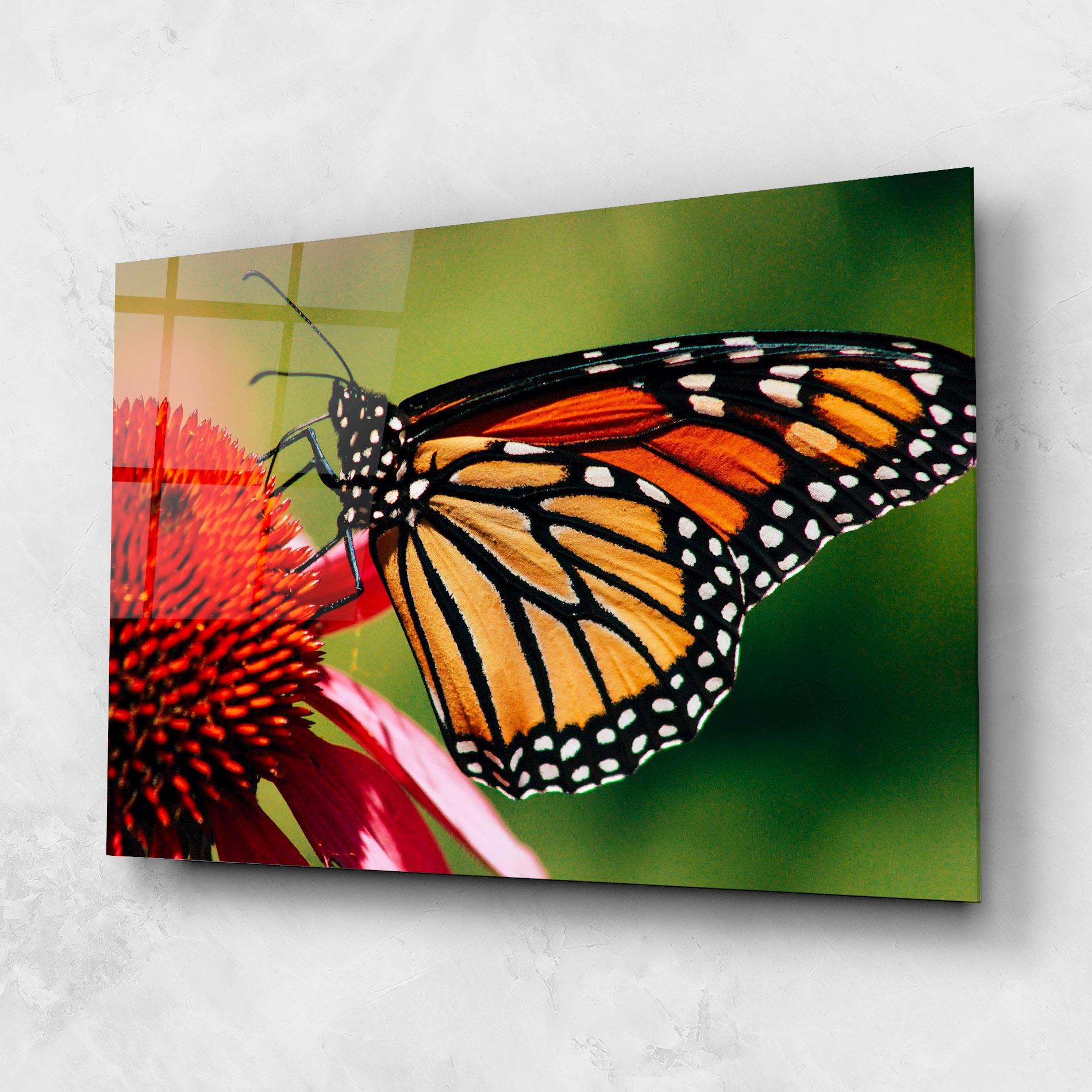 Üvegkép Big Orange Butterfly mockup 1