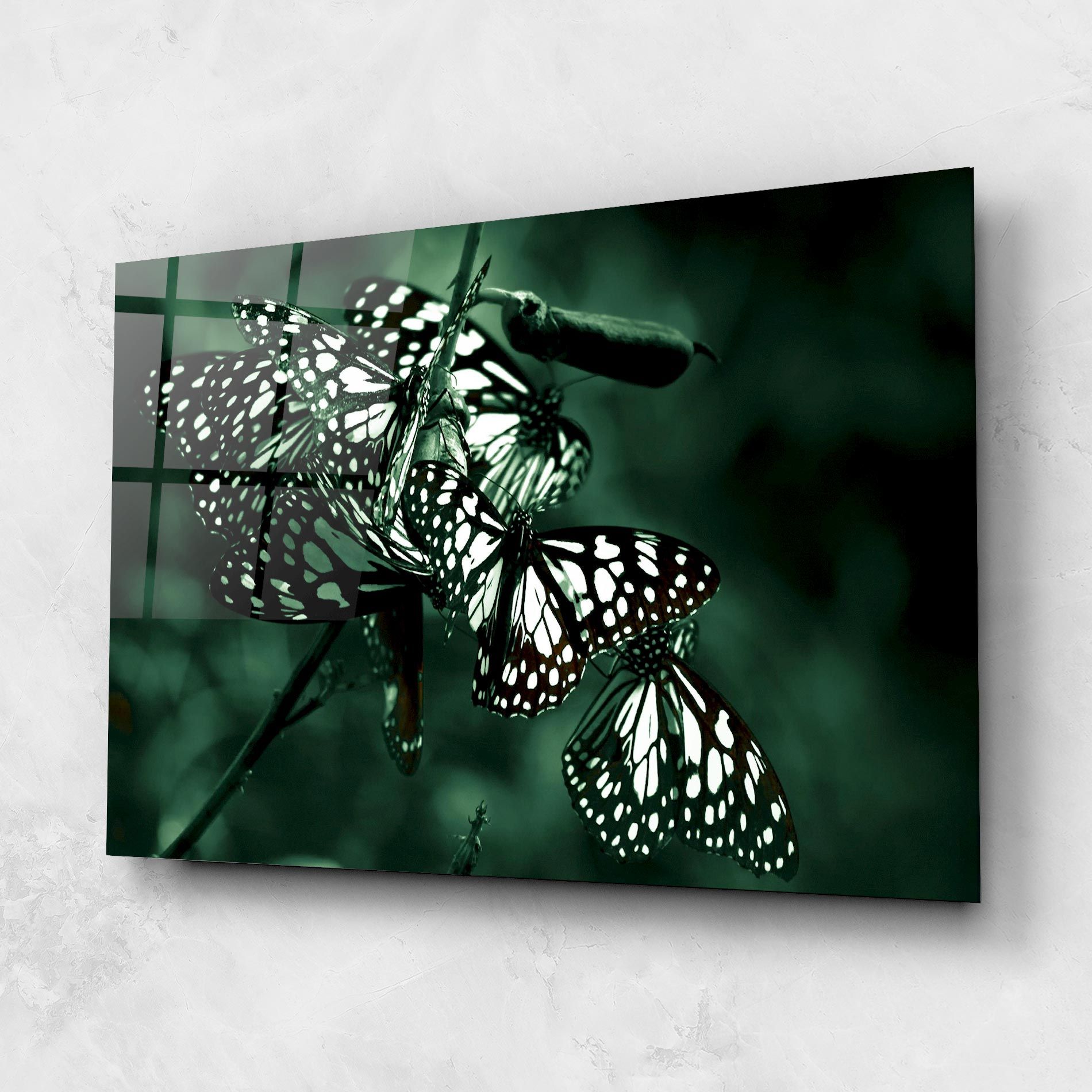 Black White Butterflies mockup 1