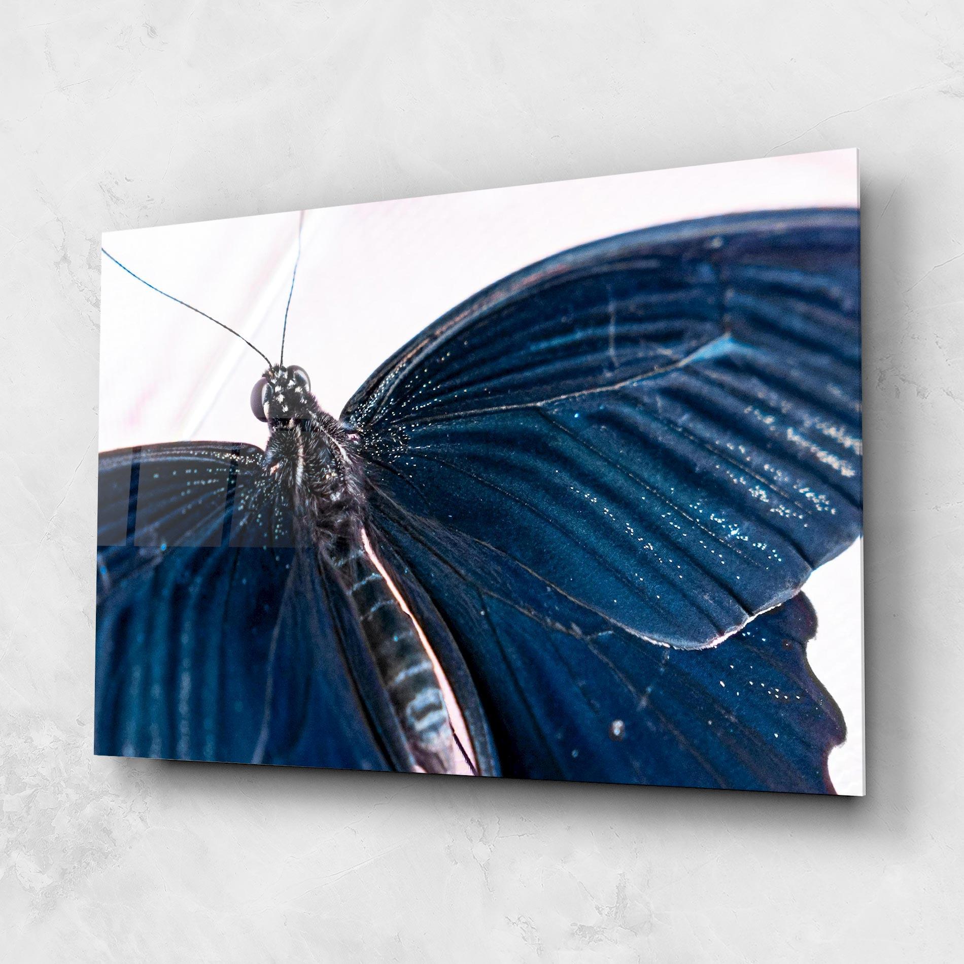 Üvegkép Blue Butterfly mockup 1