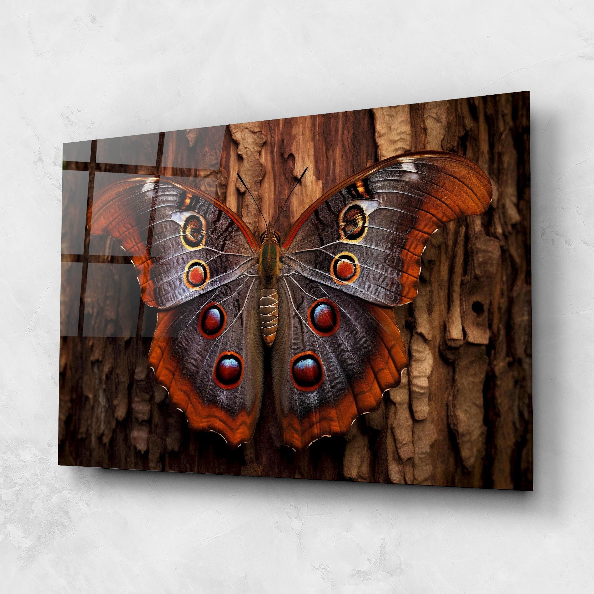 Brown Eyes Butterfly mockup 1