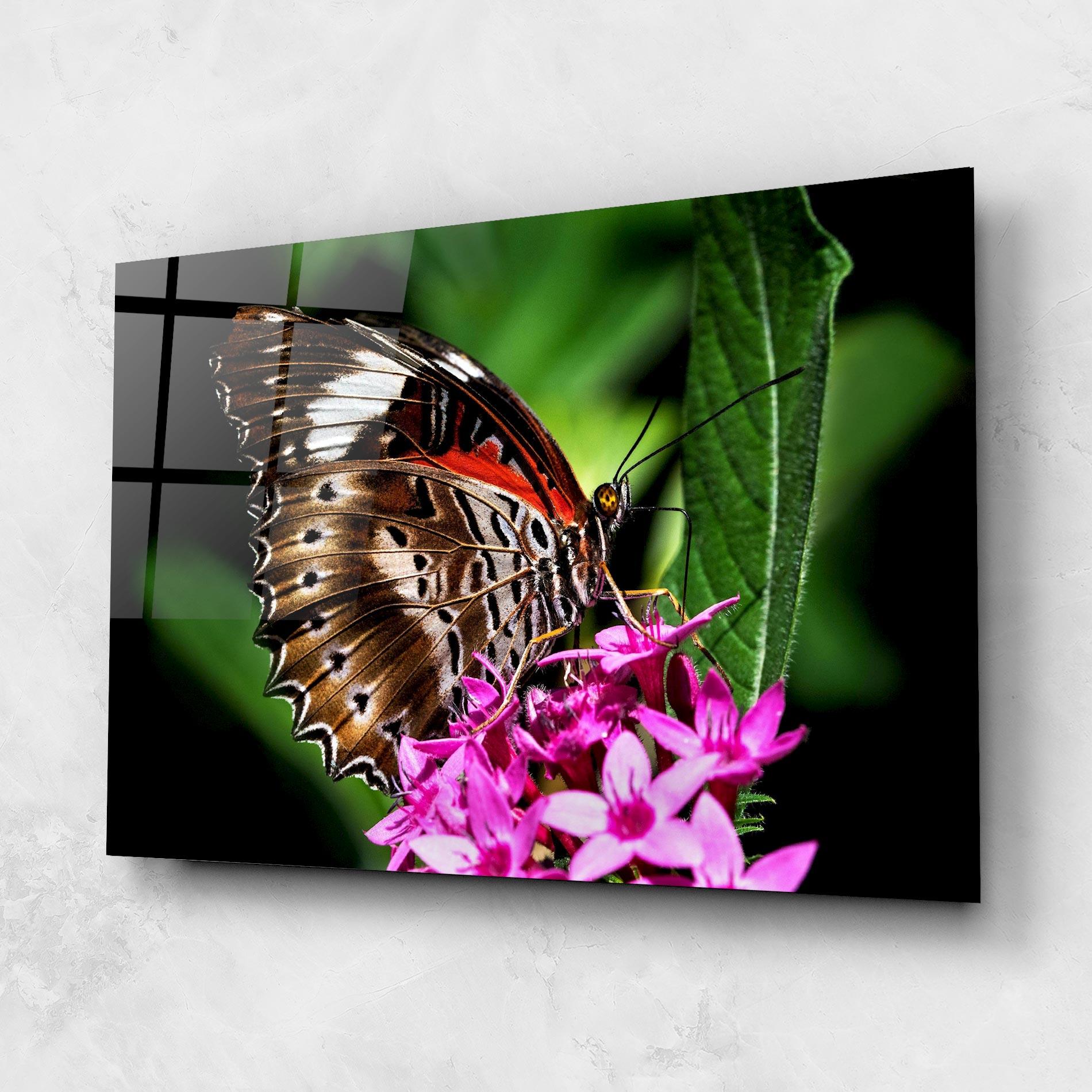 Üvegkép Brown Red Butterfly mockup 1