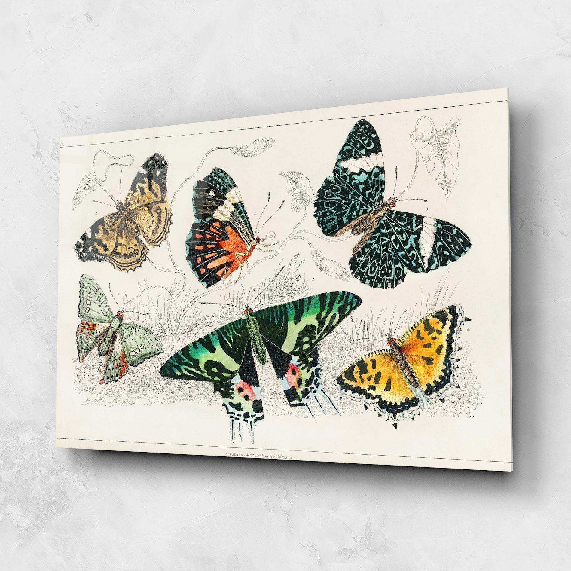 Üvegkép Butterfly Art mockup 1