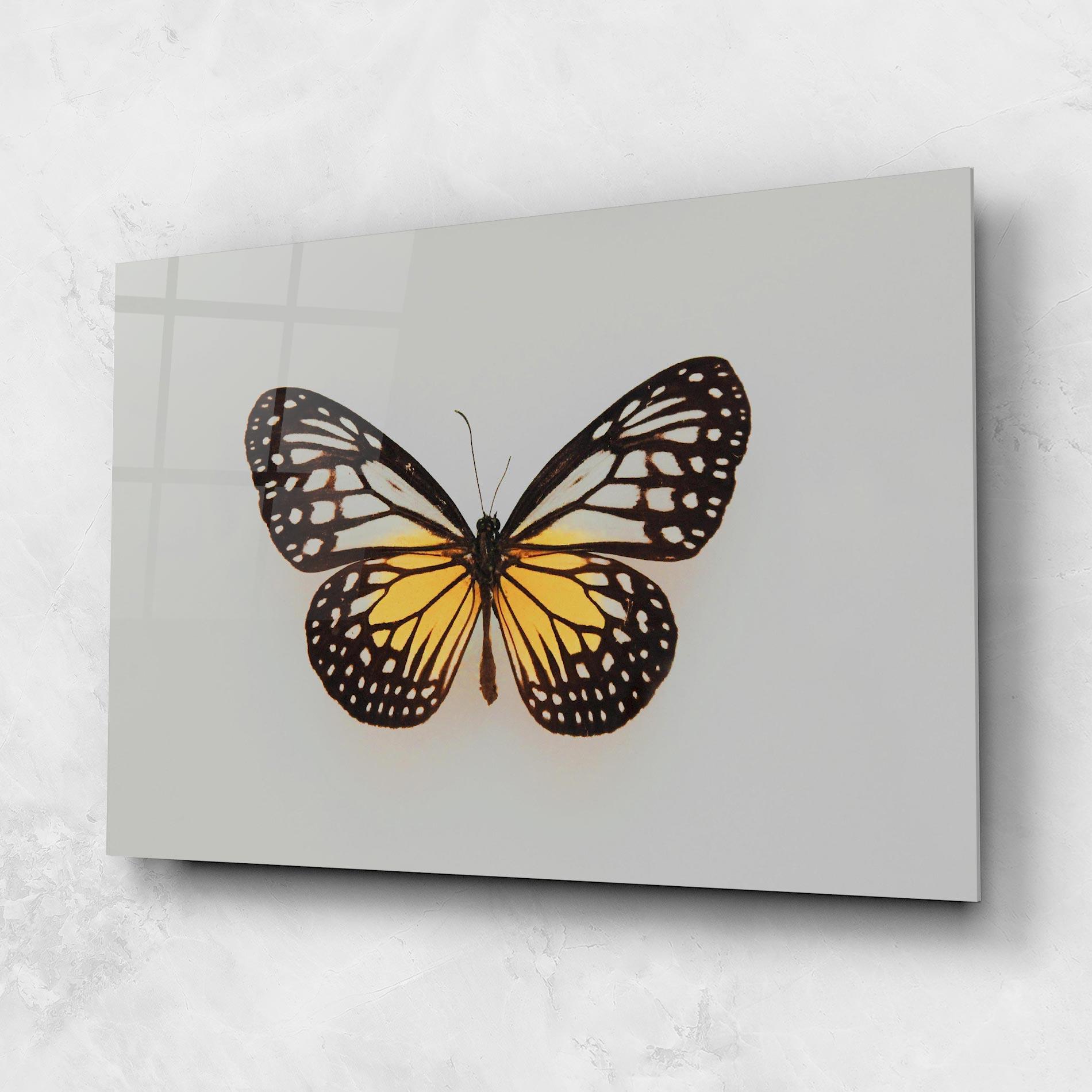 Üvegkép Butterfly On Grey mockup 1