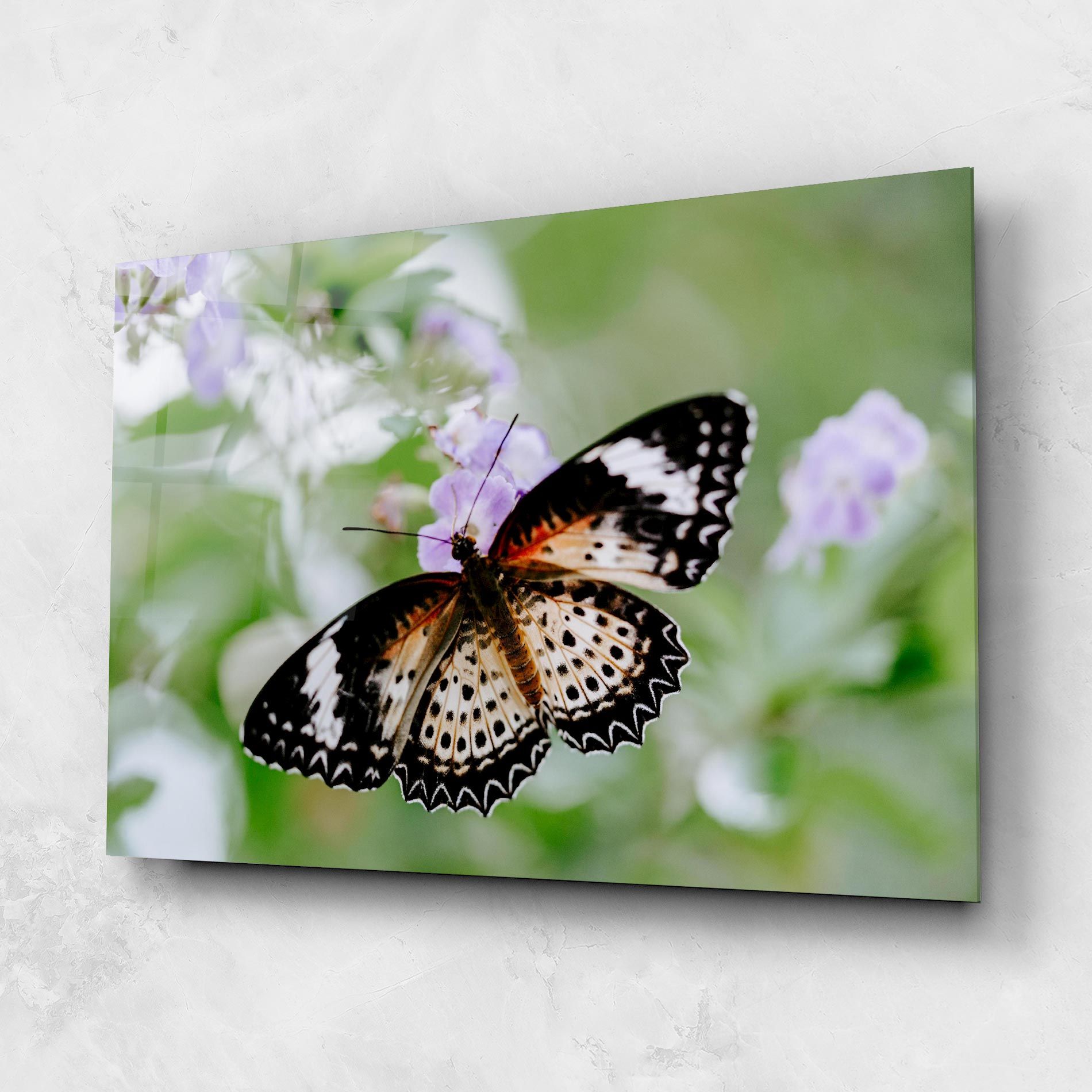 Cream Orange Butterfly mockup 1