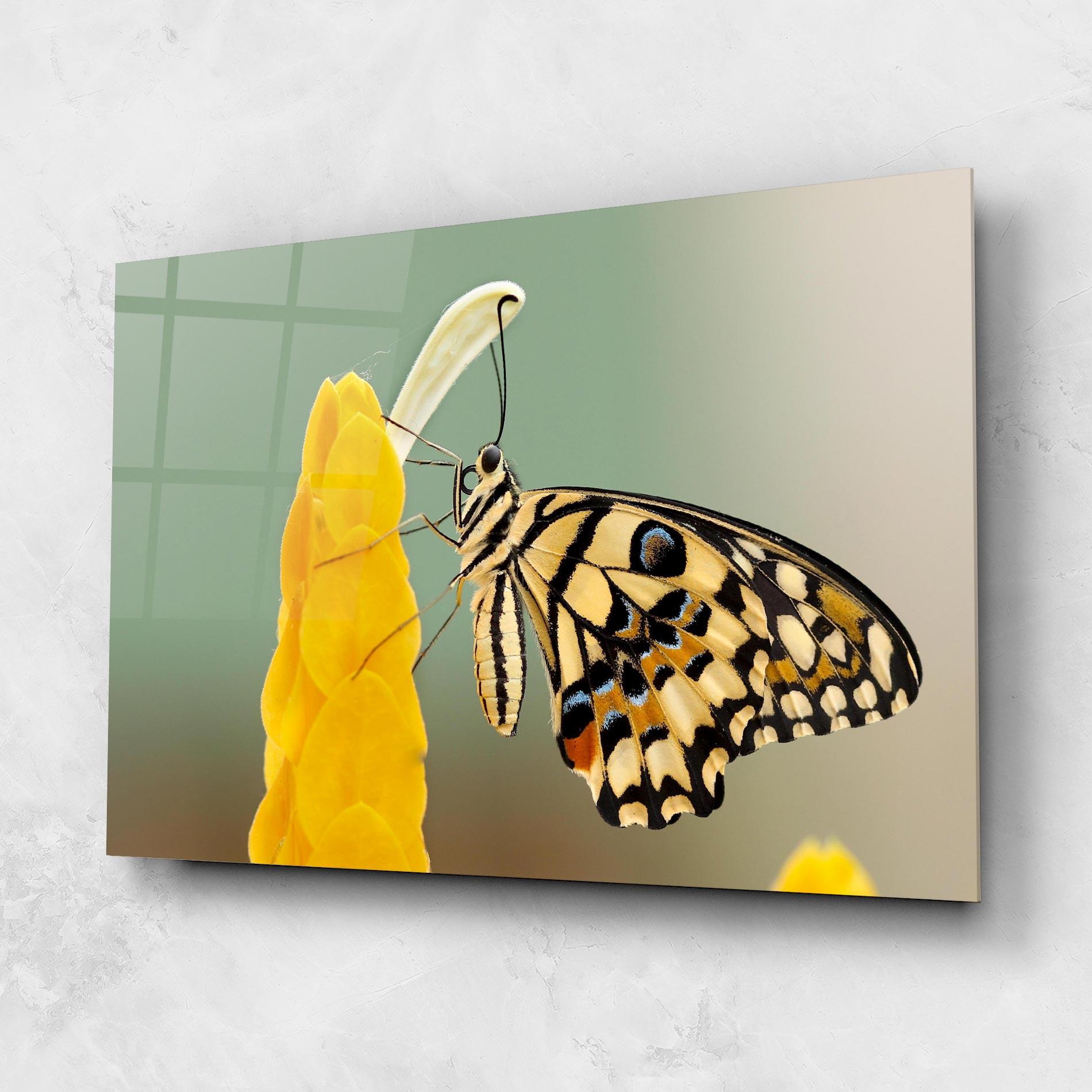 Üvegkép Cream Yellow Butterfly mockup 1