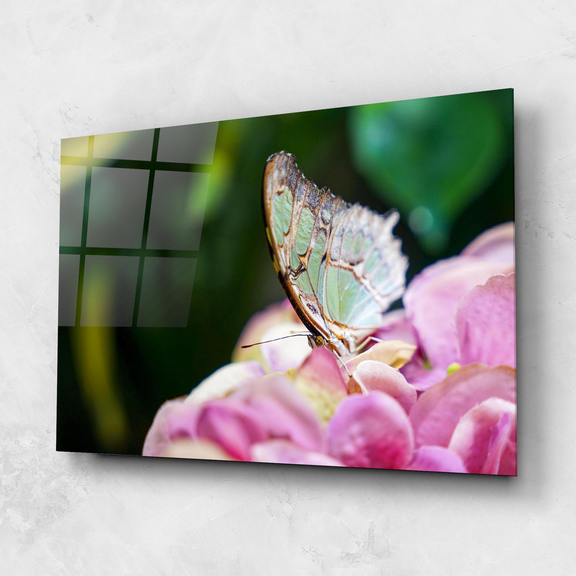 Üvegkép Nazrin Babashova Diuumqmfwys Unsplash mockup 1