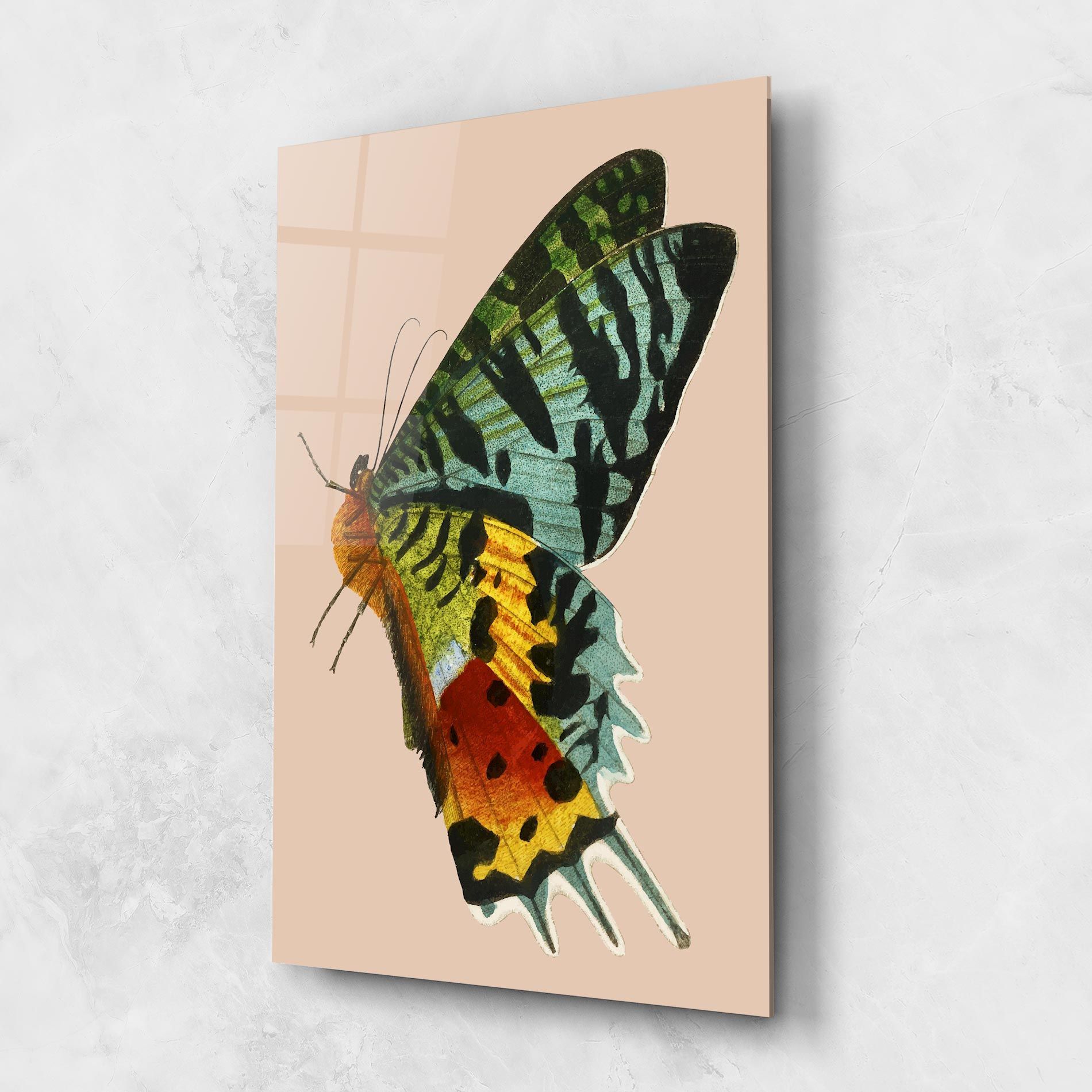 Butterfly On Pink mockup 1