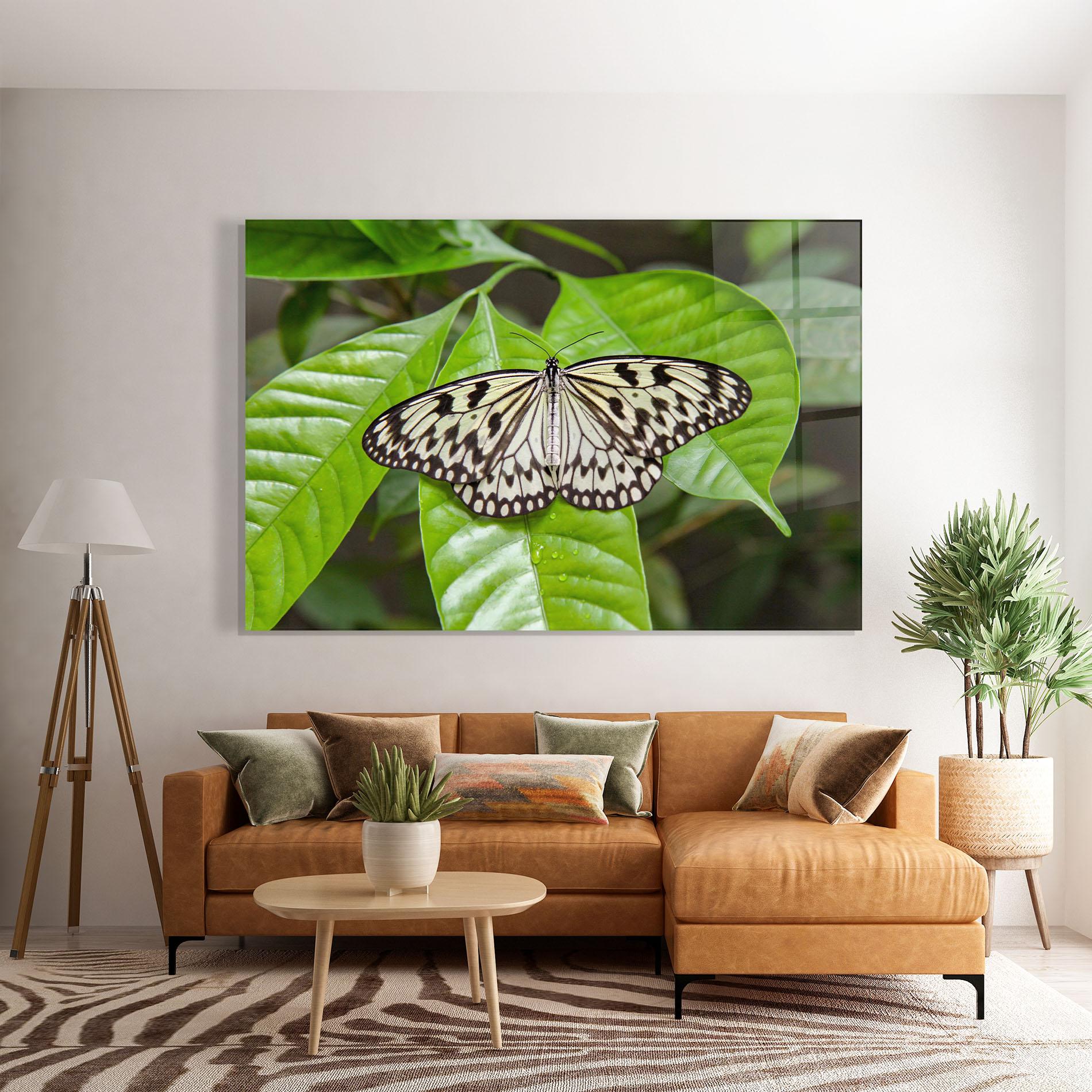 Üvegkép Beautiful White Butterfly mockup 7