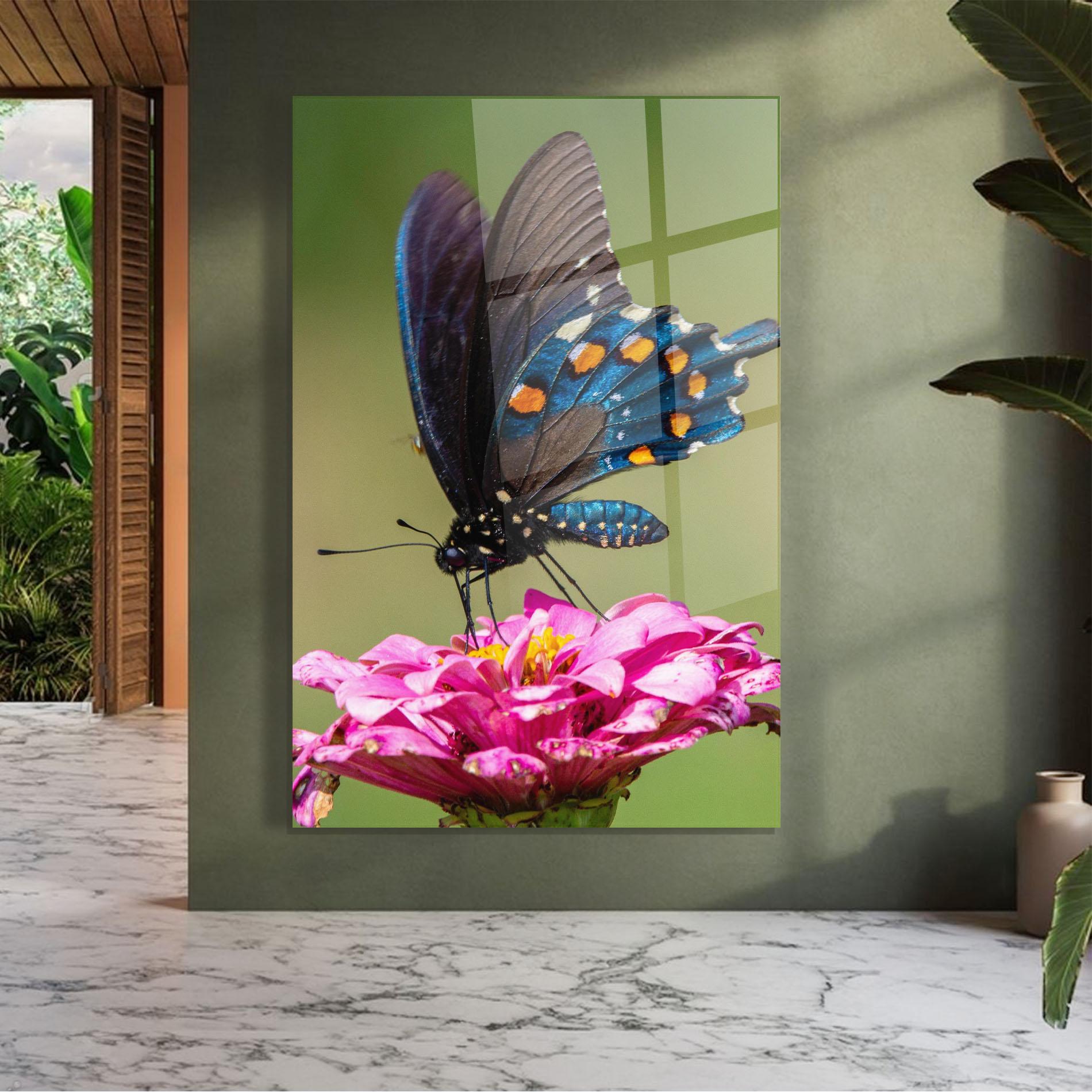 Üvegkép Blue Grey Butterfly mockup 7