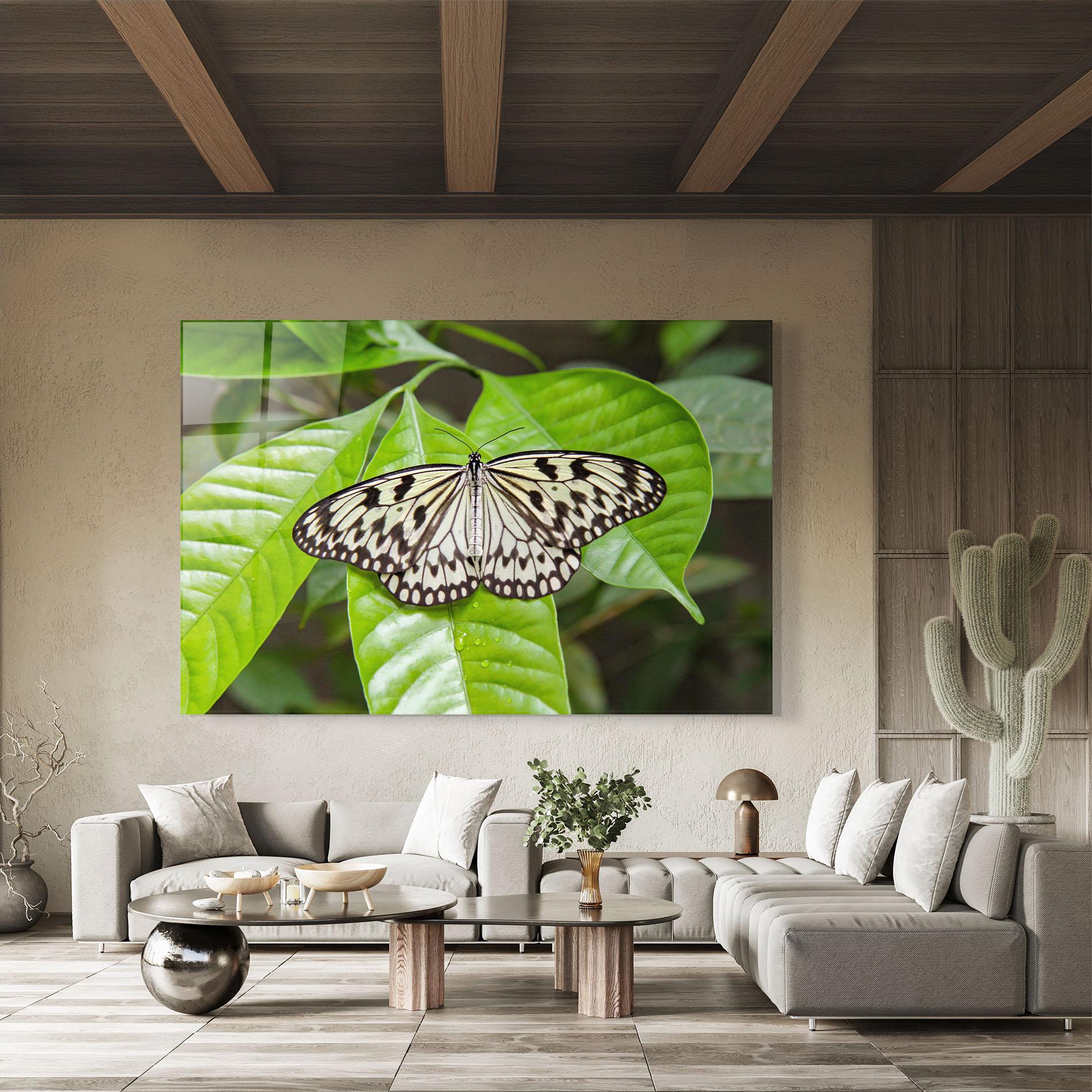 Üvegkép Beautiful White Butterfly mockup 8