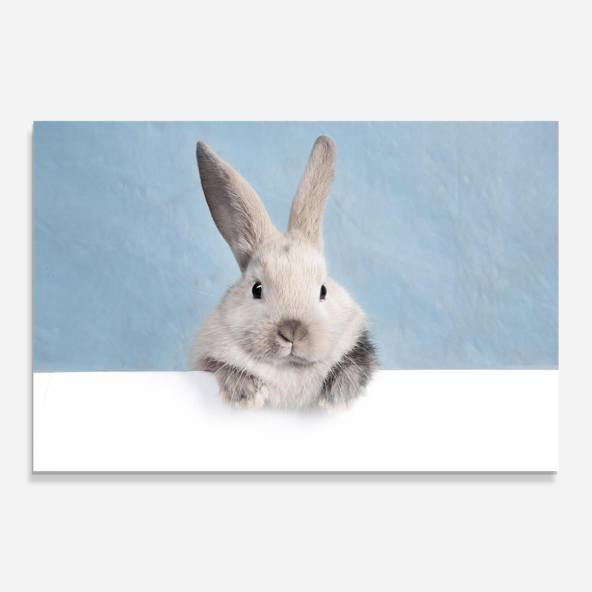 Üvegkép Cream Bunny mockup 0