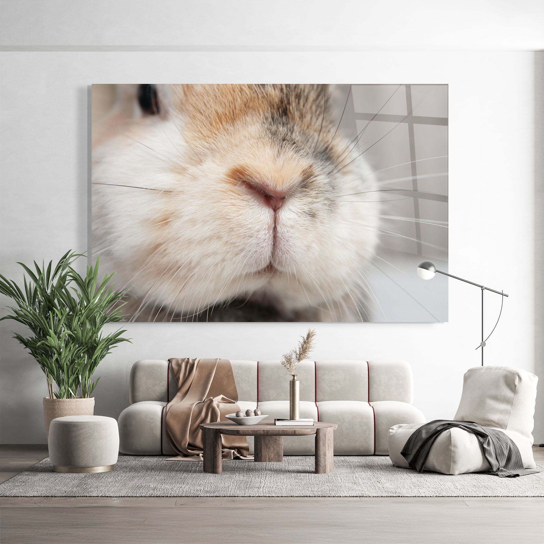 Close Up Bunny mockup 9
