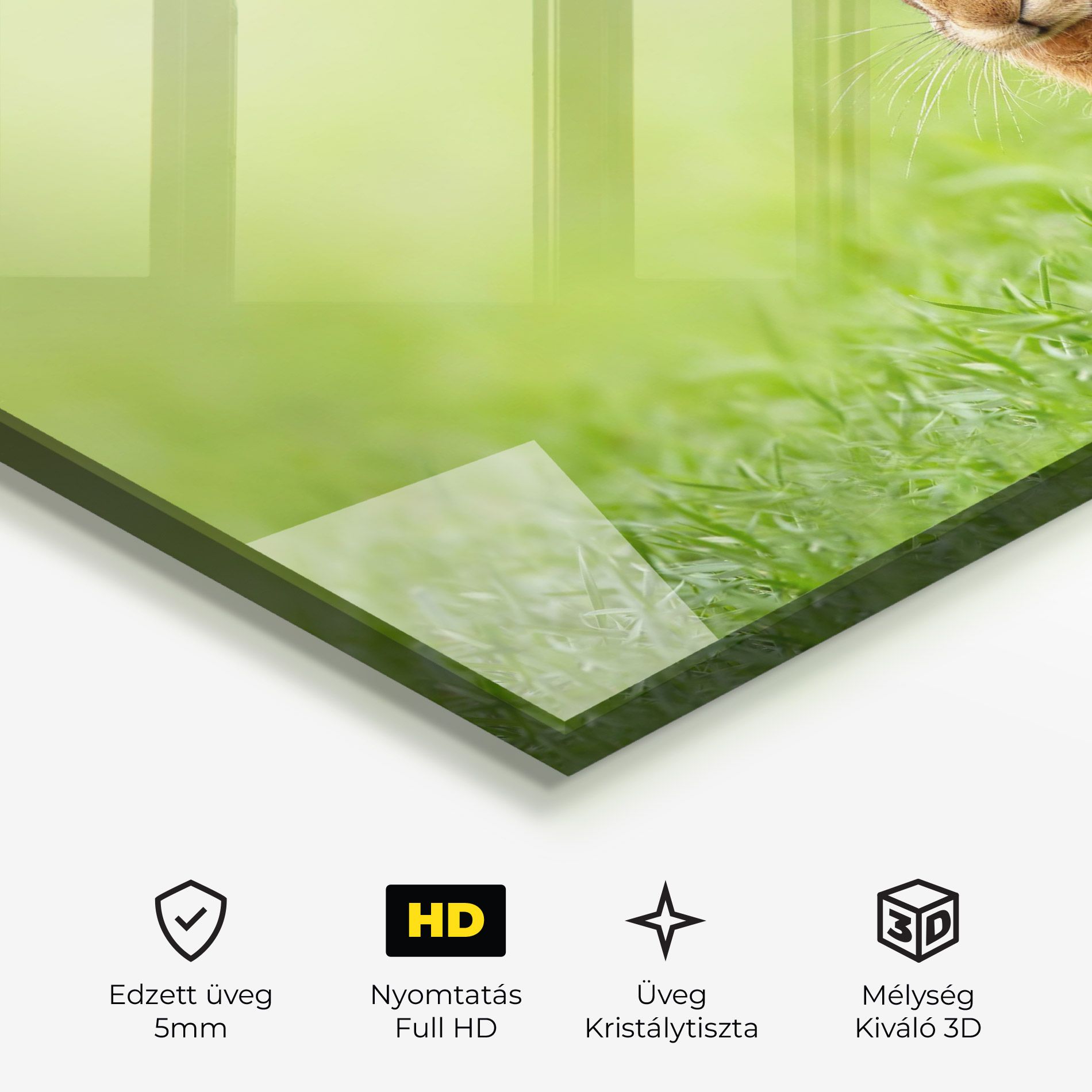 Brown Hares mockup 3