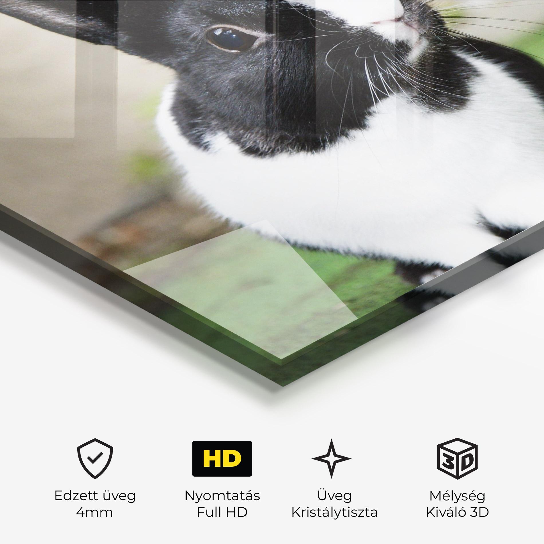 Üvegkép Black Ear Rabbit mockup 3