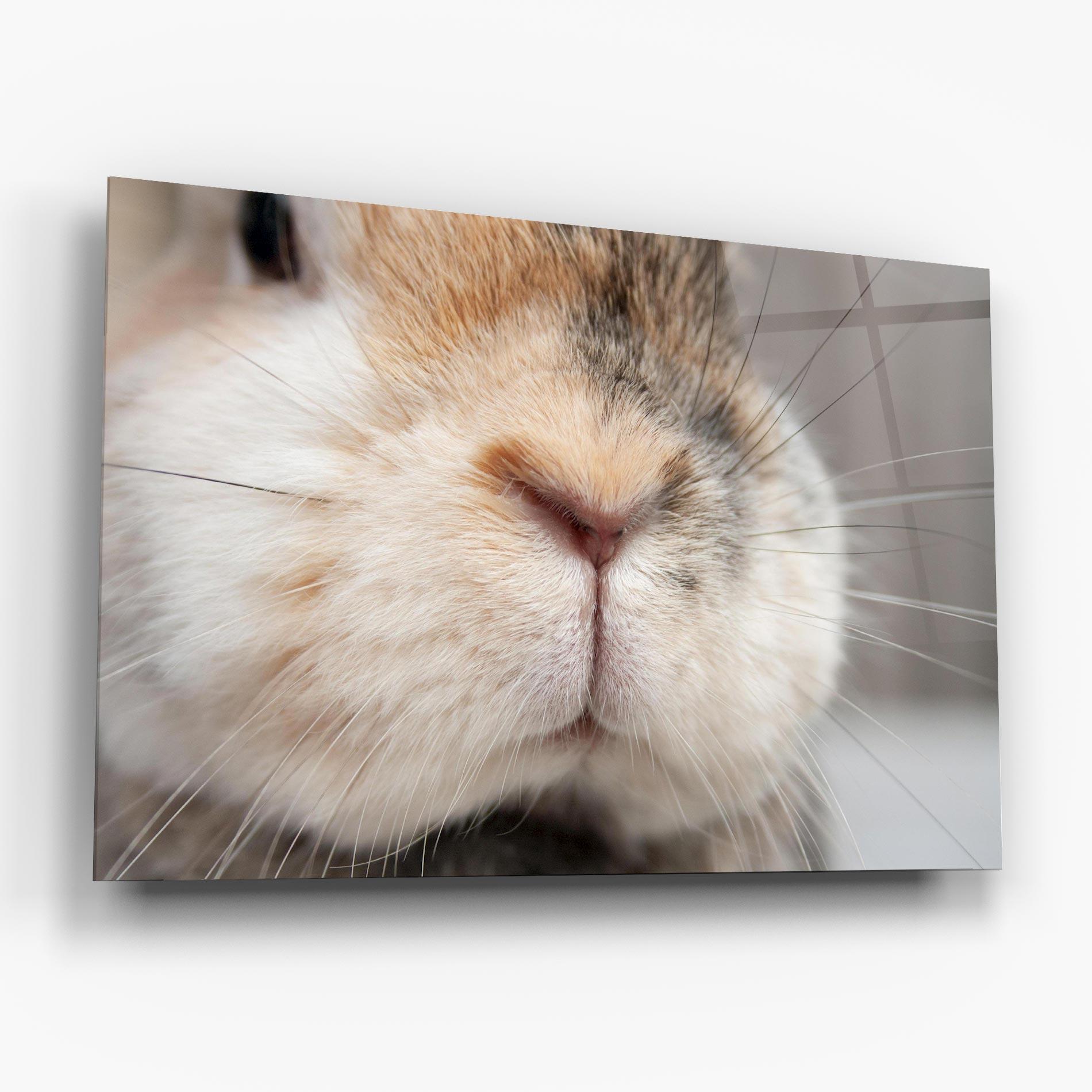 Üvegkép Close Up Bunny mockup 6