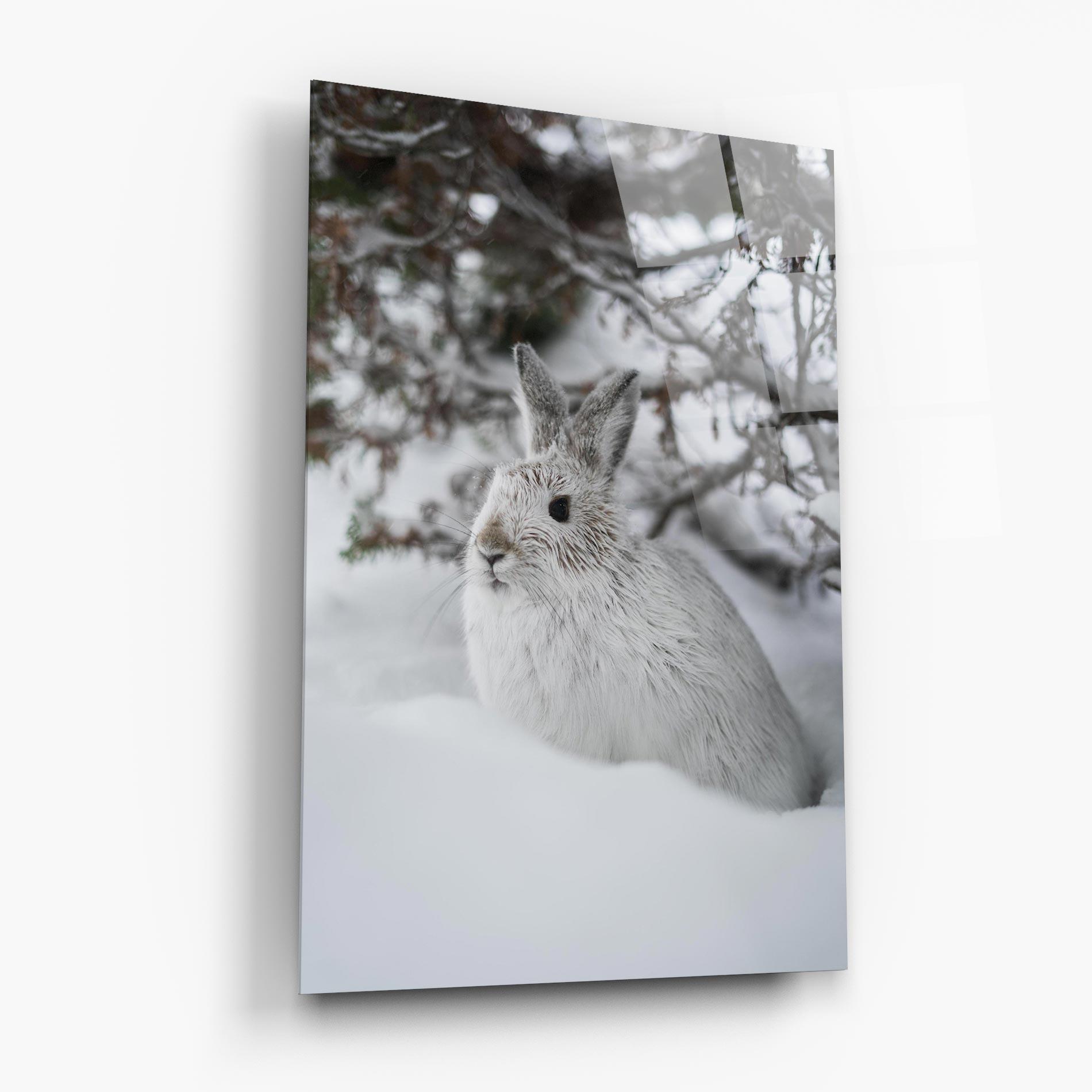 Üvegkép Bunny In Snow mockup 6