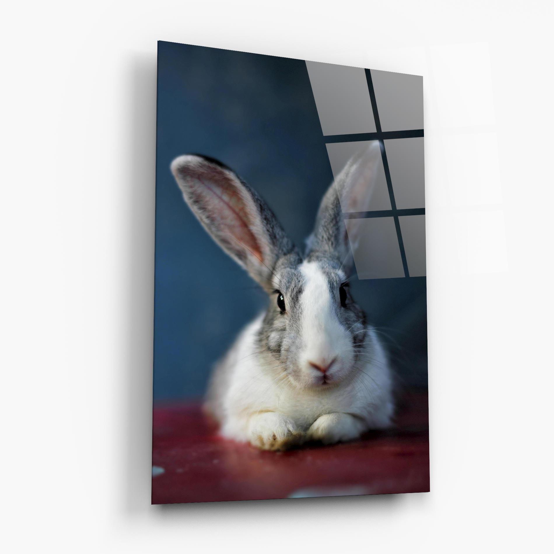 Üvegkép Cute Grey Bunny mockup 6